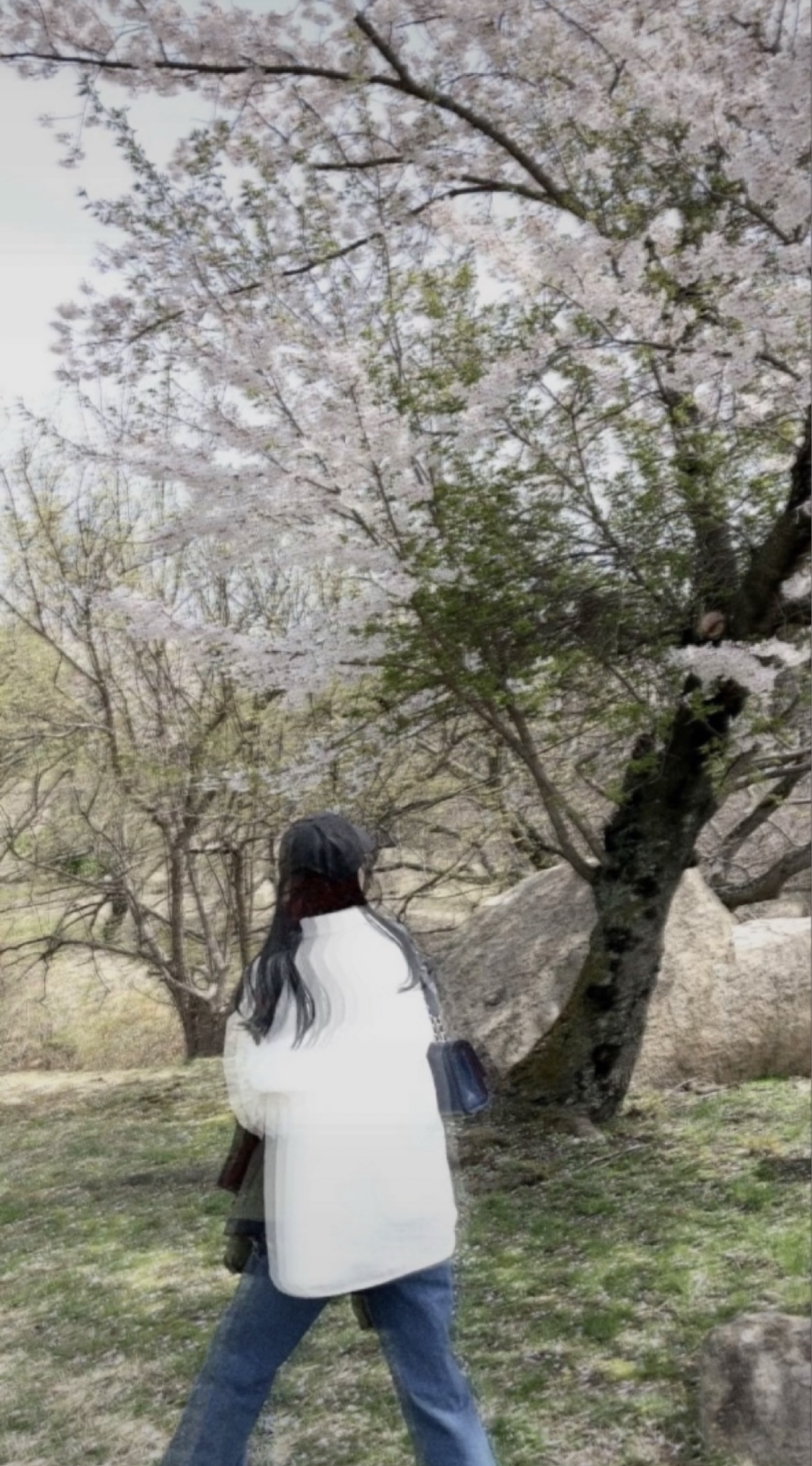 갱상도얼짱 ғᴍ¹/ 오 전 도 파 민