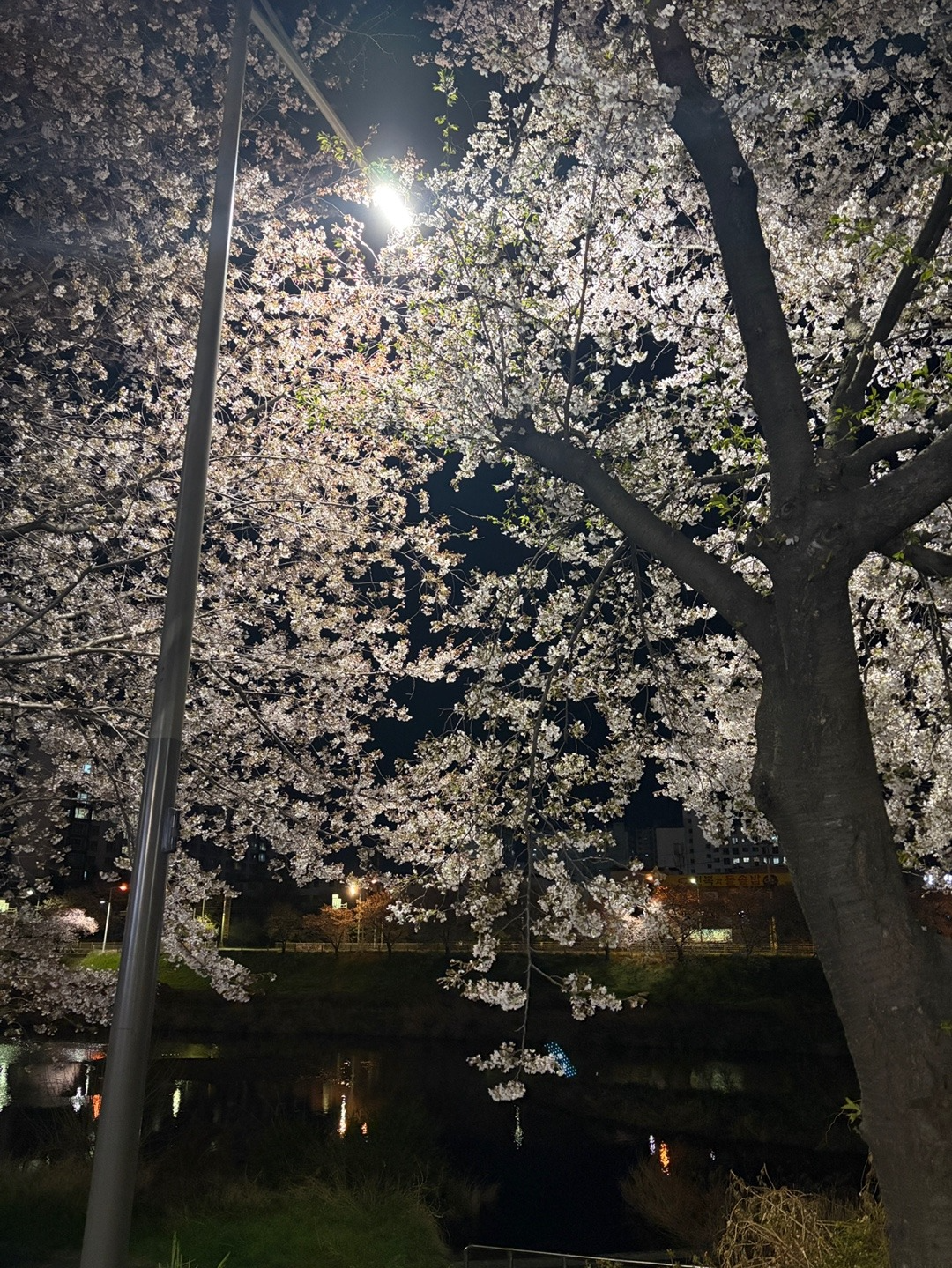 미듣, 그만 찾고 듣다 자요