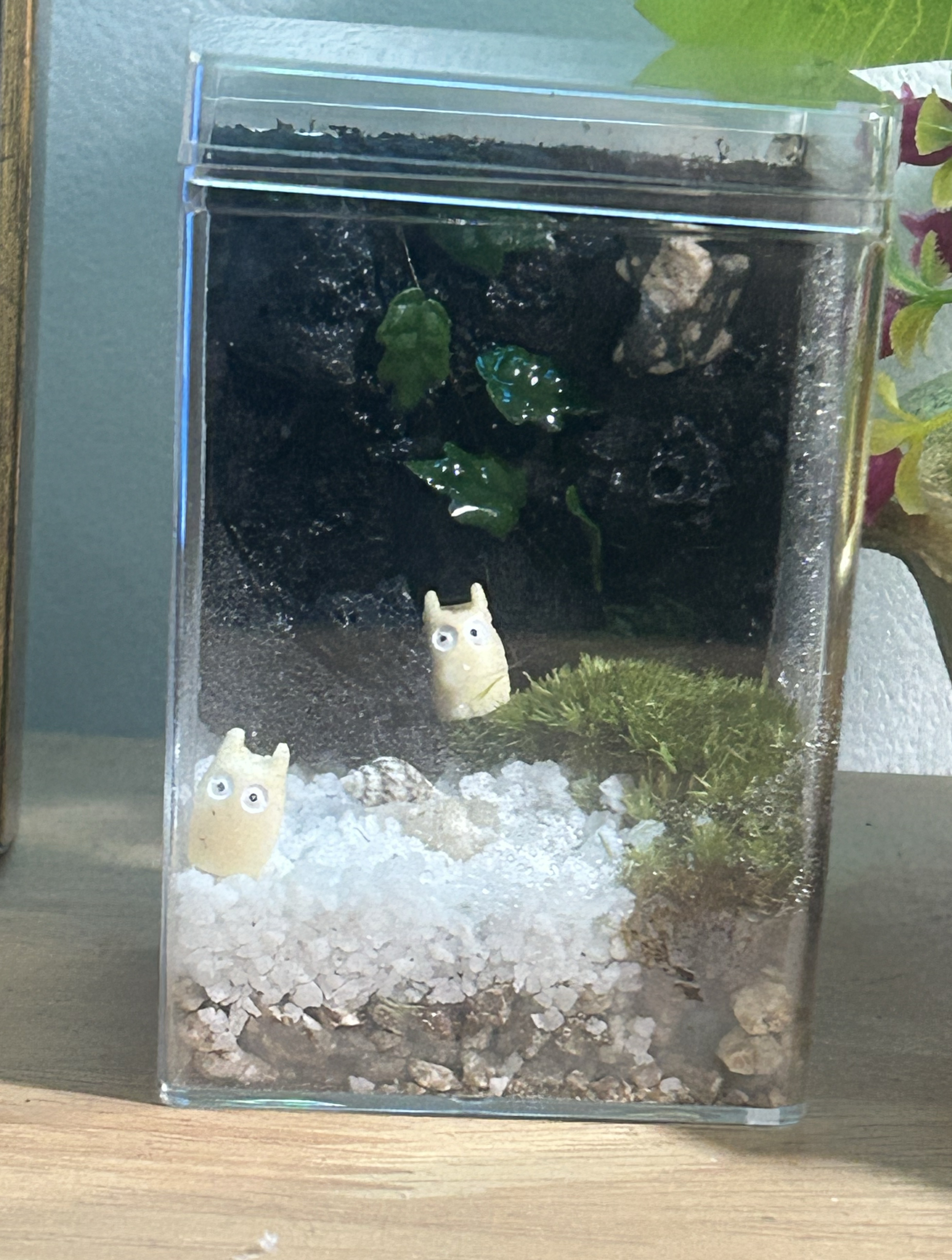 심심한데 놀아주라(타로를 곁들여