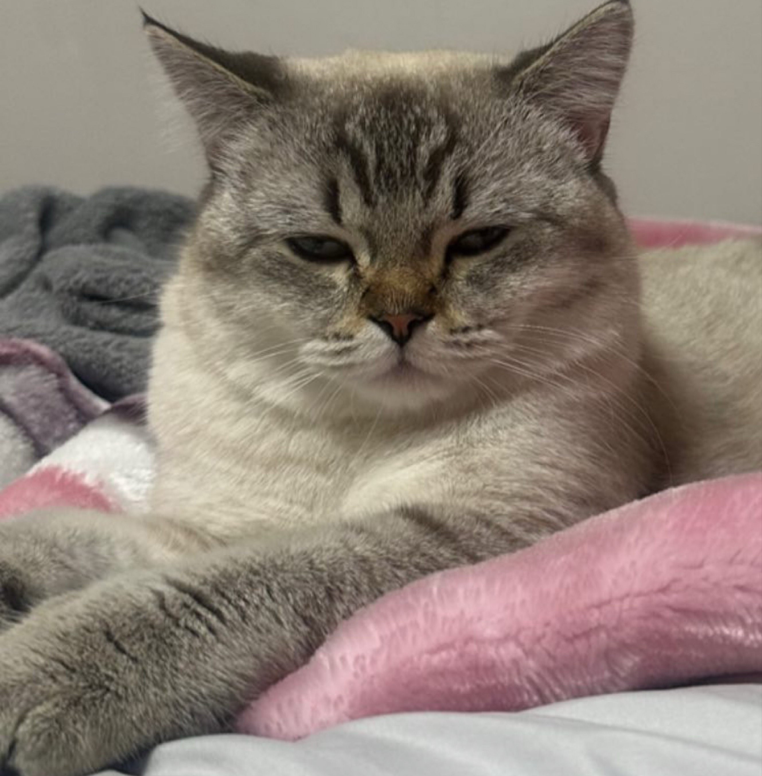 20~30+)아무나와여~💕