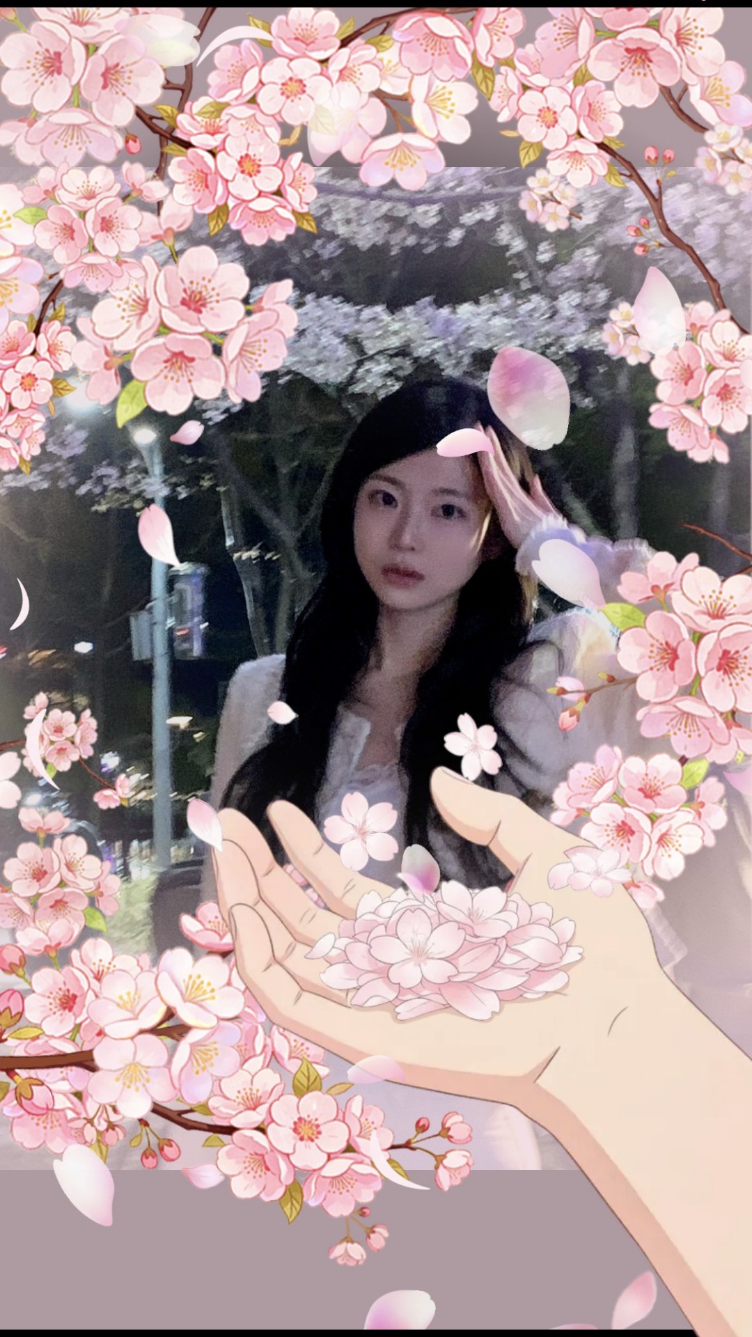 ✨ 신청곡을 입력해주세요.