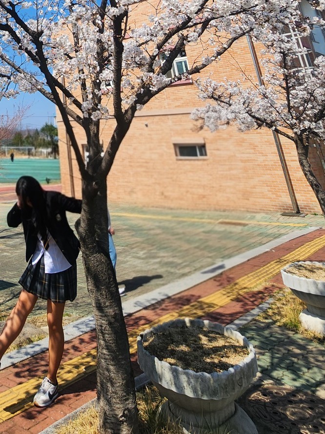 매니저가 방송하는 방