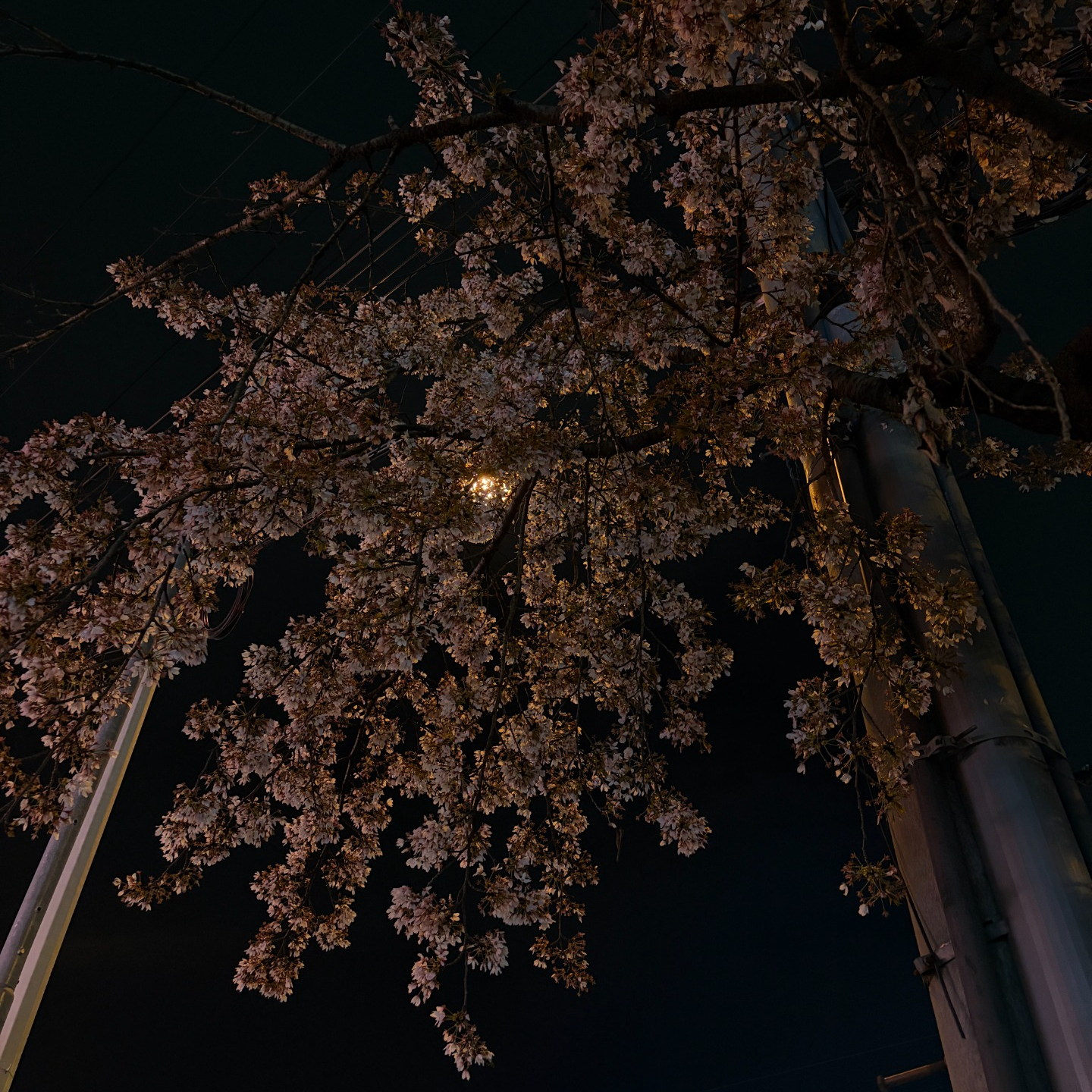 미듣, 그만 찾고 듣다 자요