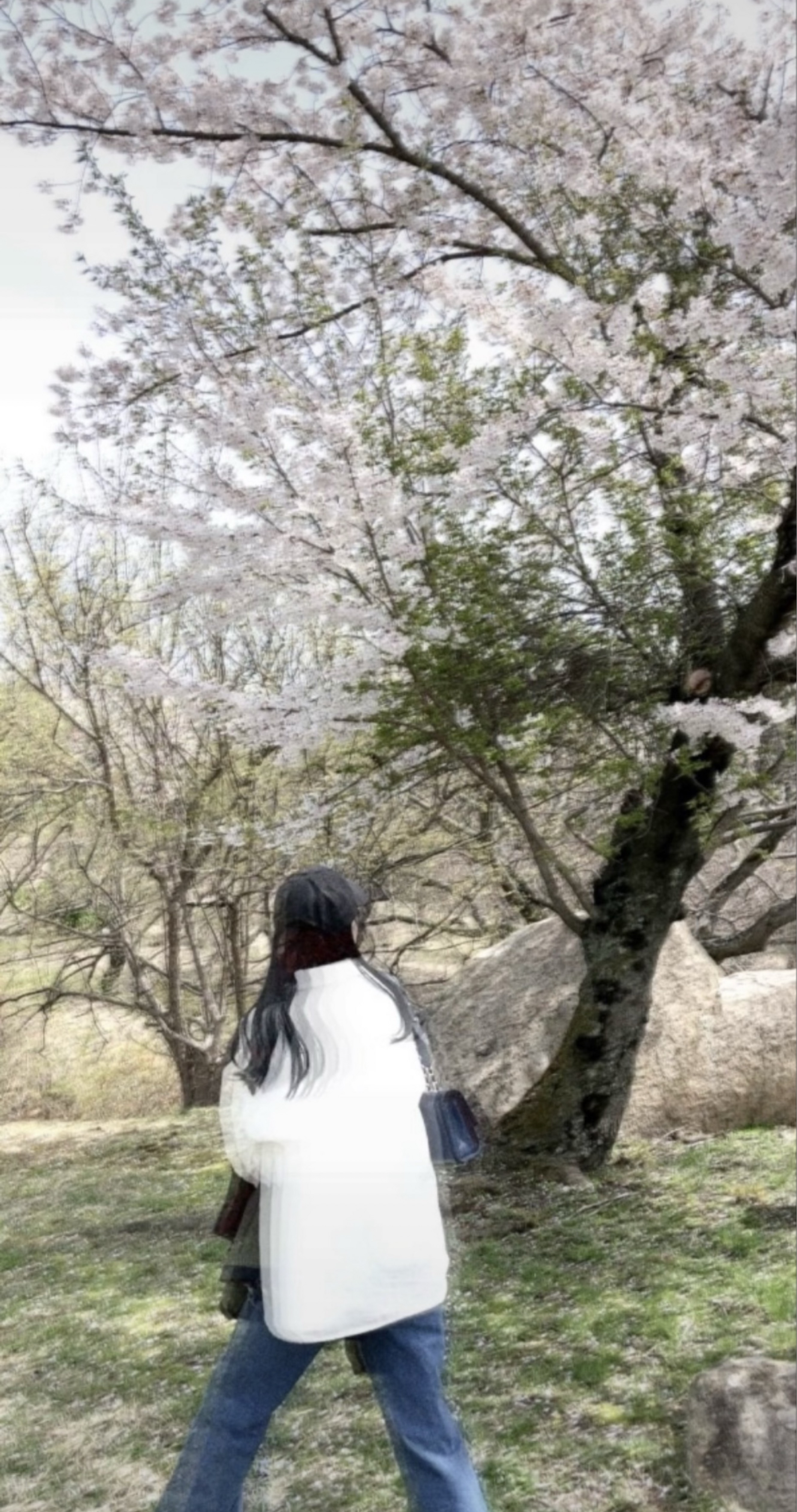 갱상도얼짱 ғᴍ¹ / 오전 도파민 