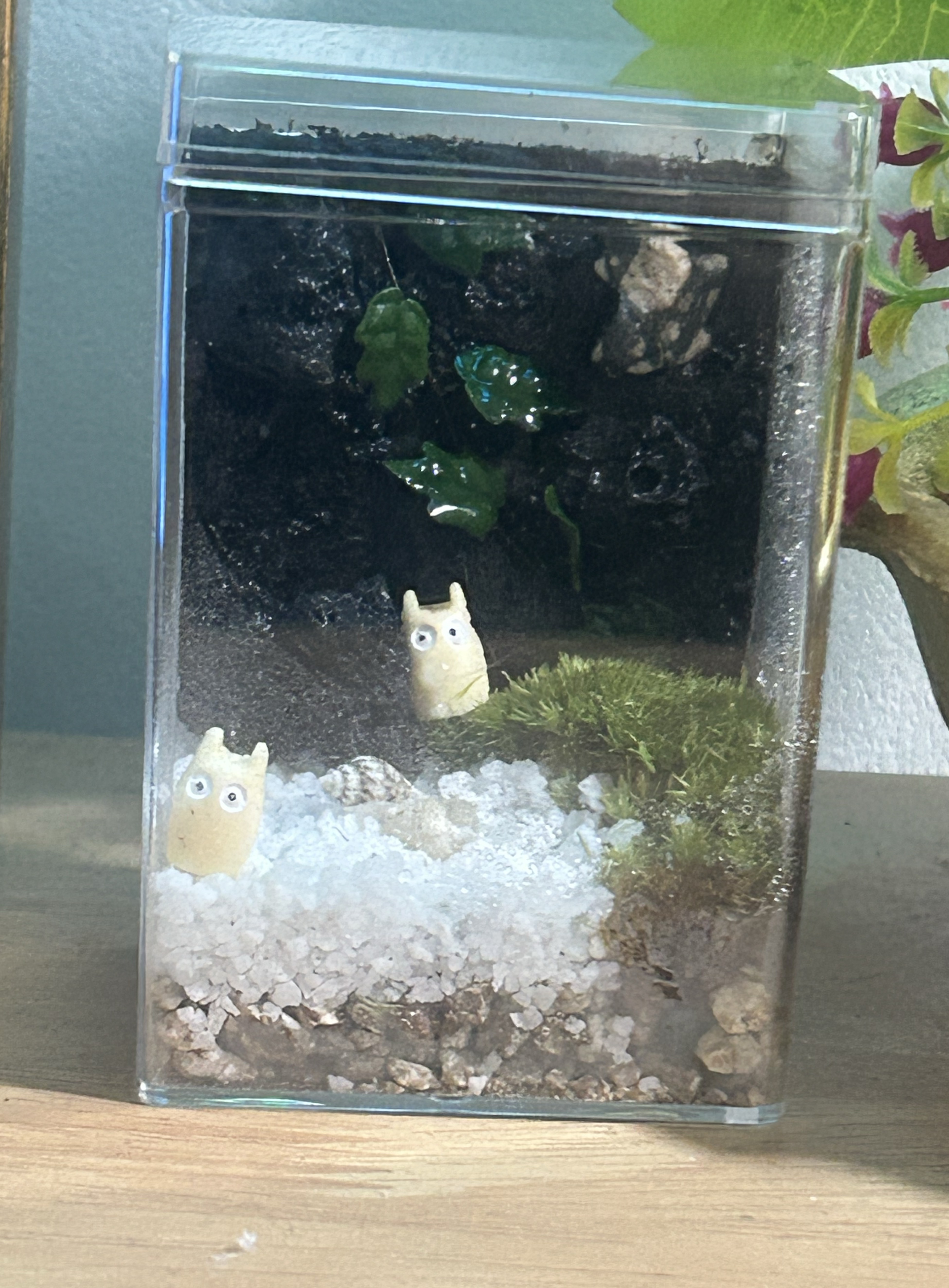 수다 떨면서 타로 ㄱ?