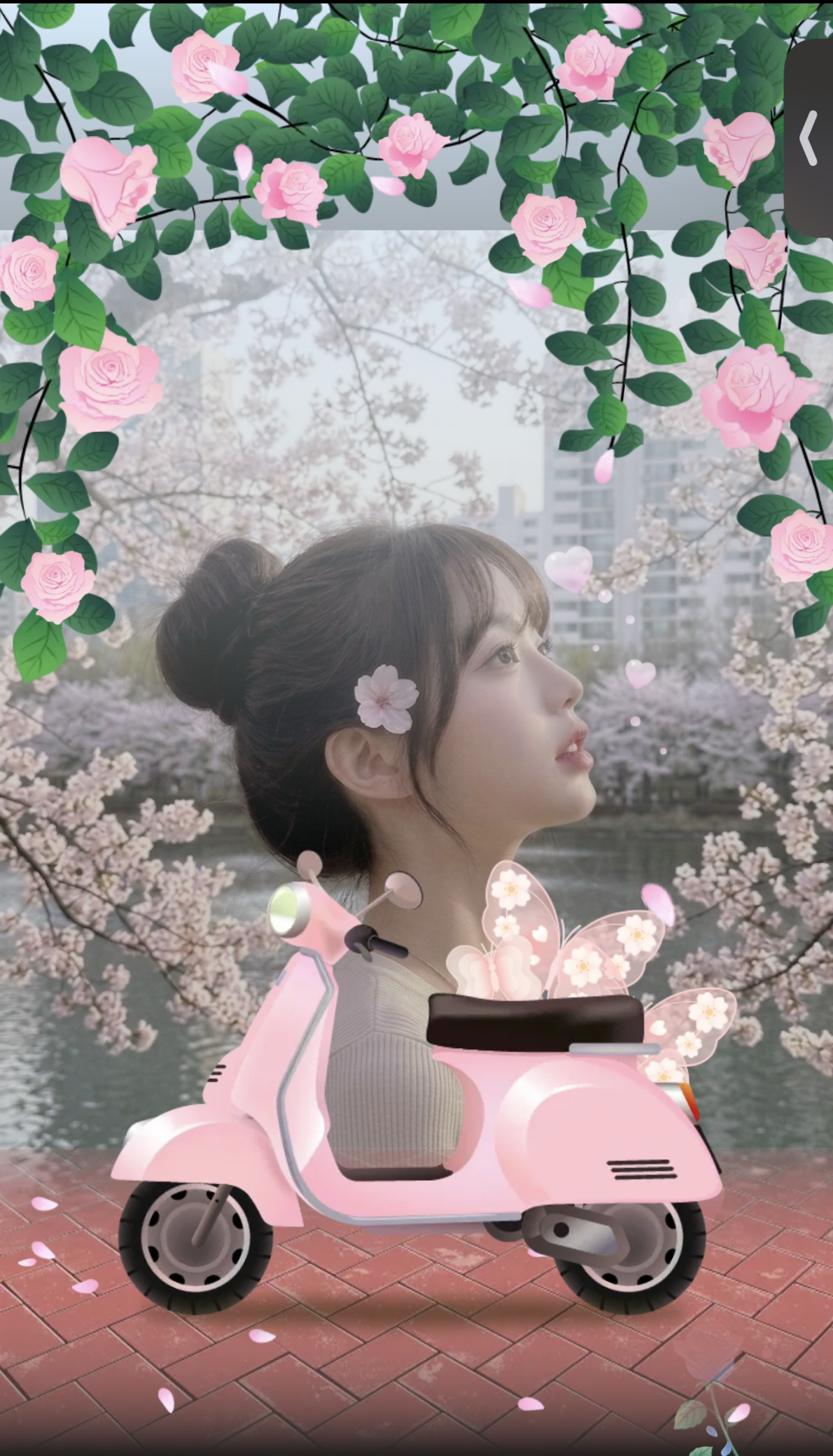 신청곡) 오후에는 김놀앙 이잖아요 ?