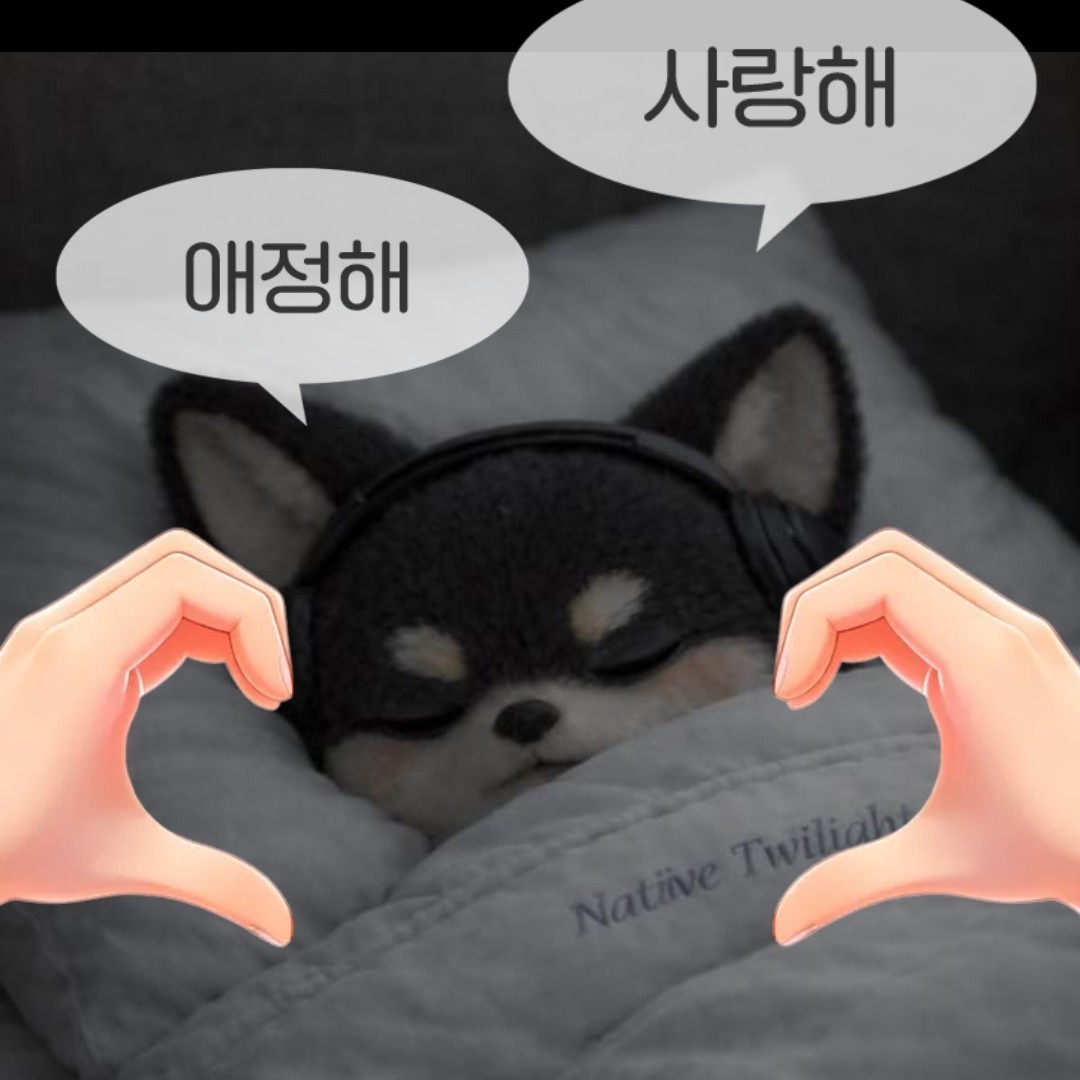 게 이 아 닙 니 다