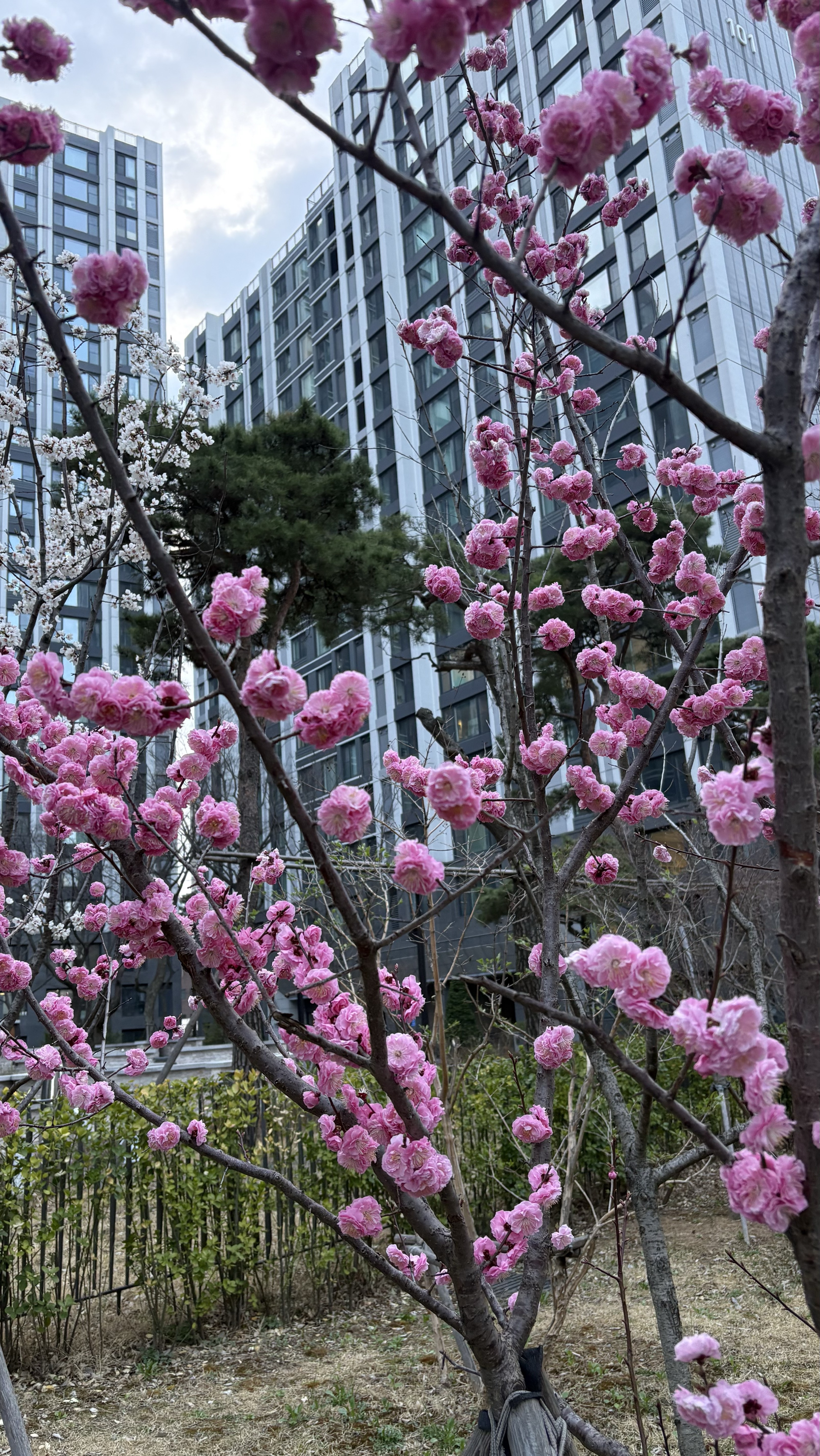 잘생긴 오빠만 ㄱㄱ