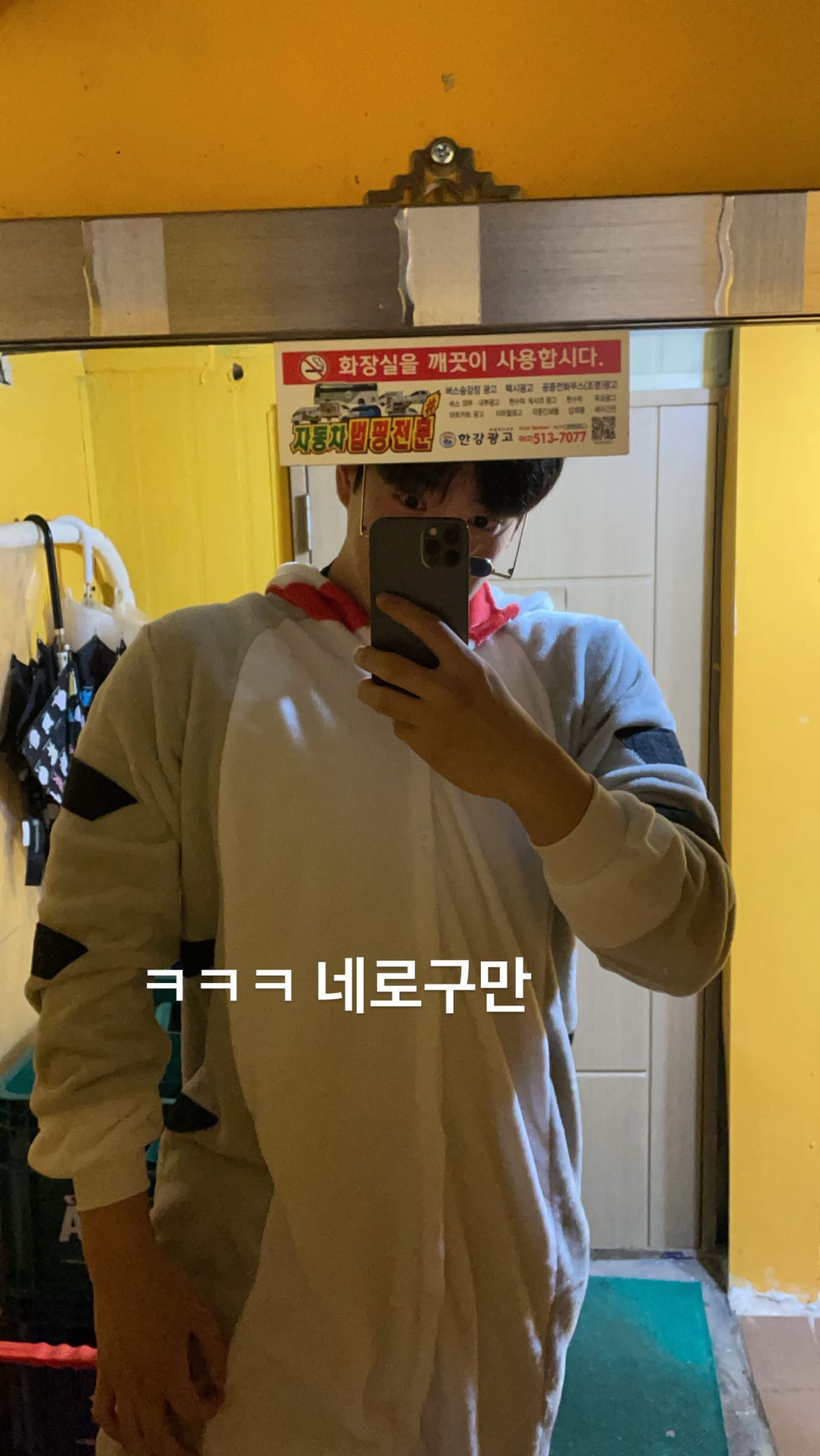 우리집에 앙콤한 고양이 보러갈래?