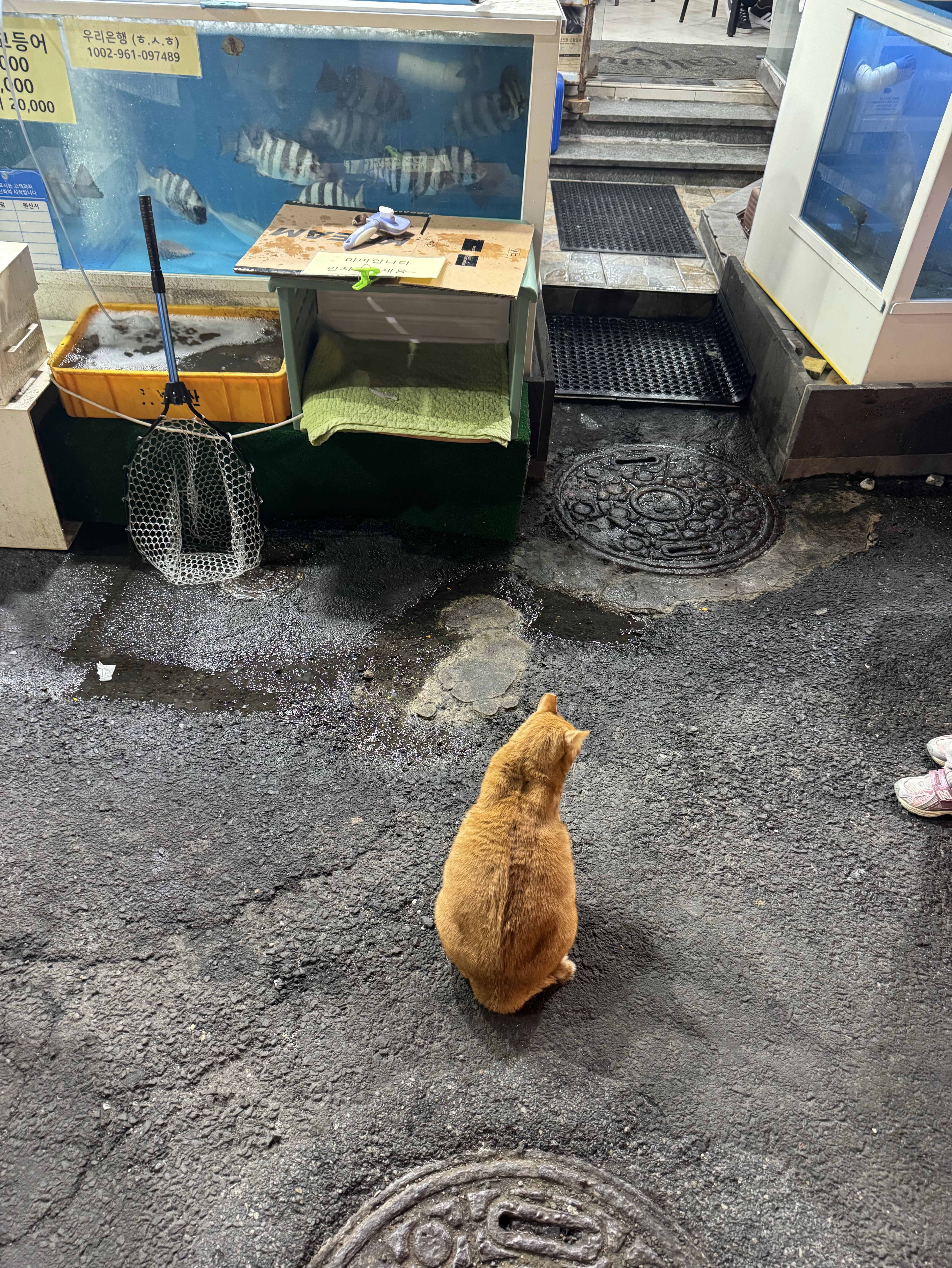 카페인에도 흥분이 안 됨