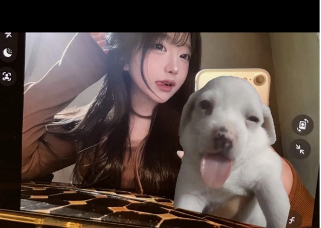 신입) 한번 빠지면 출구 없다린