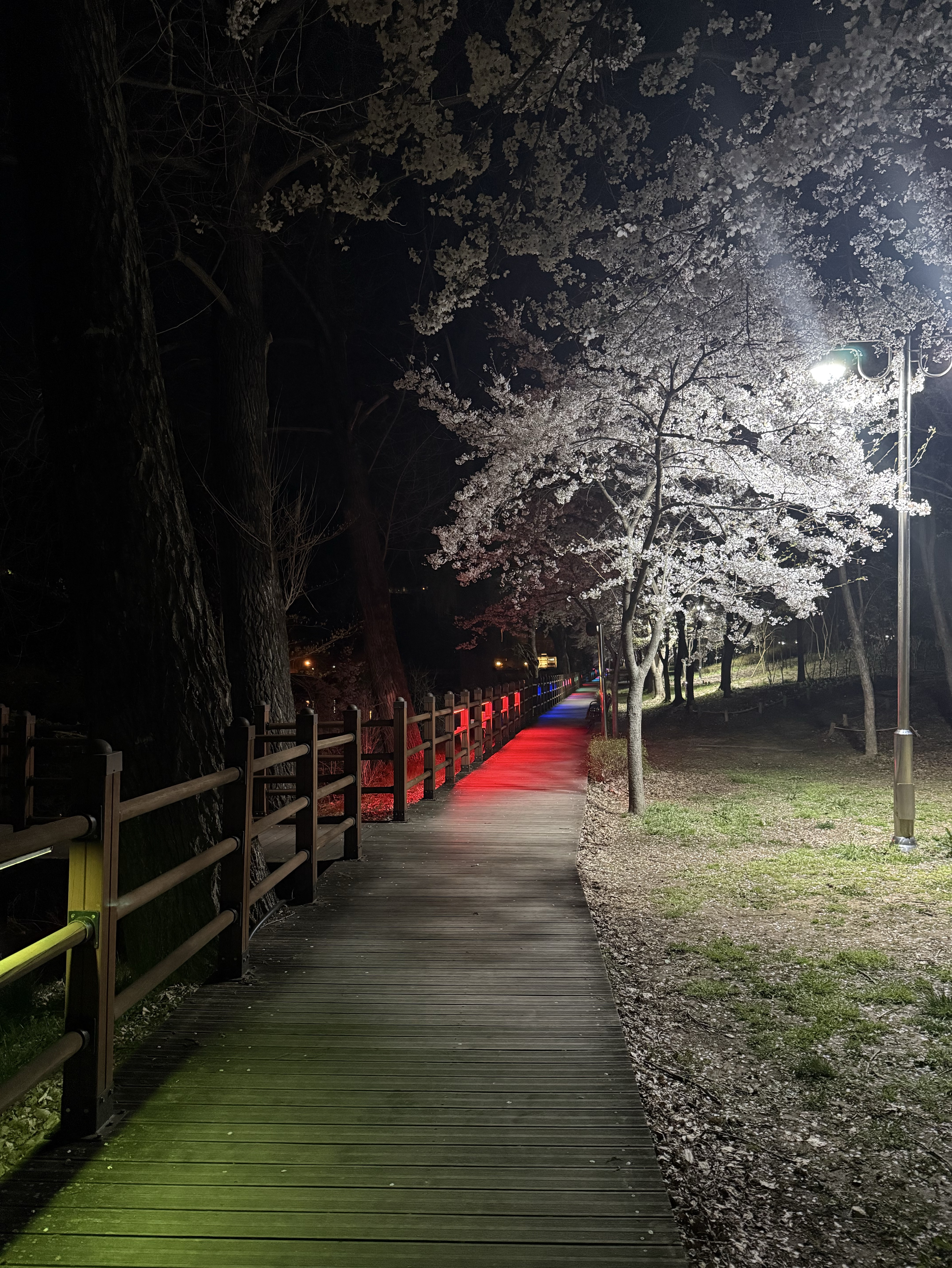 보고싶어서 잠이 안오자아🥹❤️