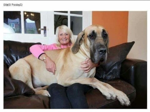 깃발 좀 채워주세요