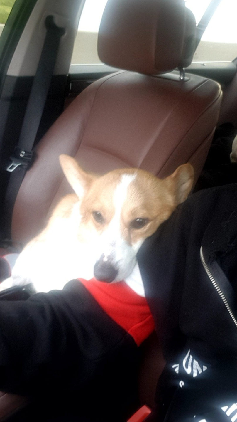 퀡휅읅홁흙힑헳 