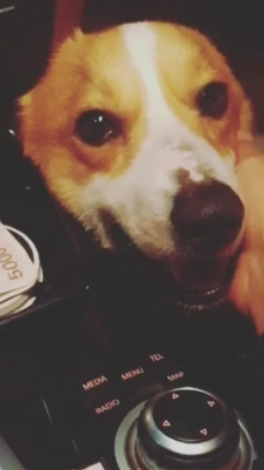 퀡휅읅홁흙힑헳 