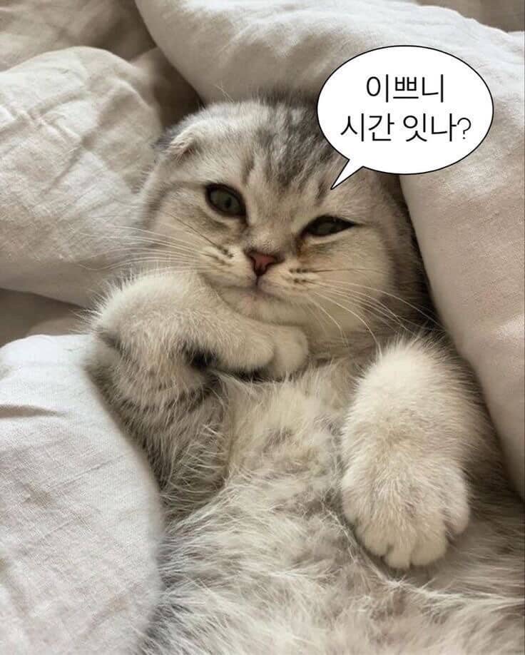 대화해요