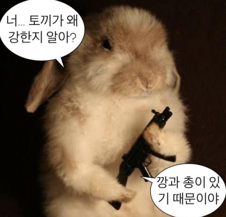 방토의 방송시간😽