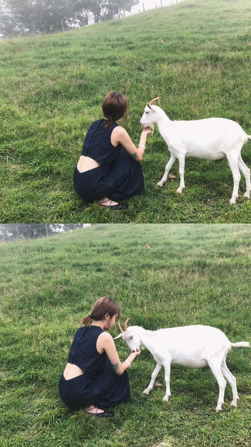 모두들 안녕 🤍