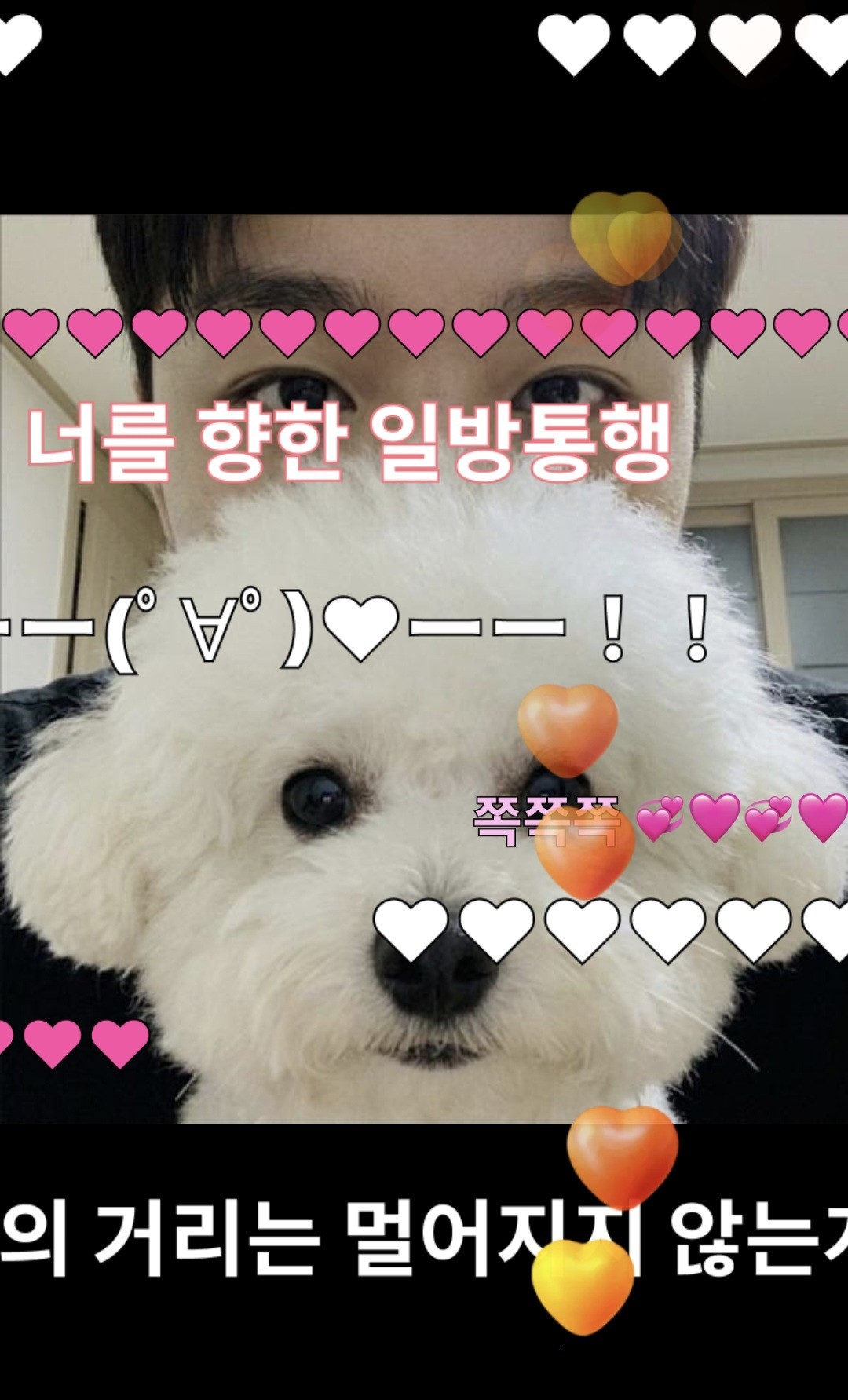 뉴페이스 대환영 🤍