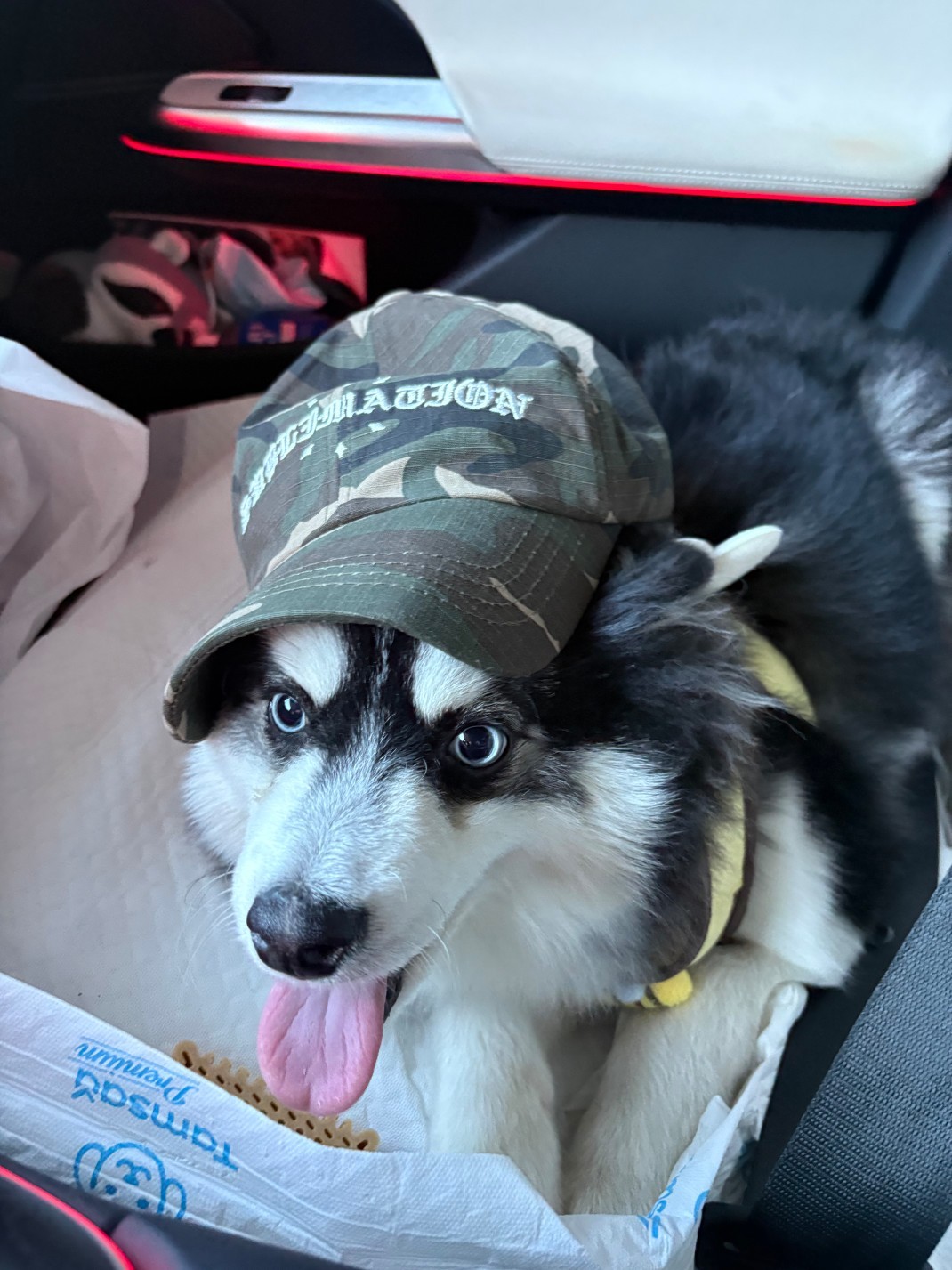 # 마감 담좌 송루피 ㄱㄱㄱㄱㄱㄱ