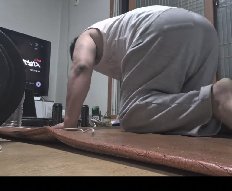 🌳모여봐요 , 사랑의 숲 🩷