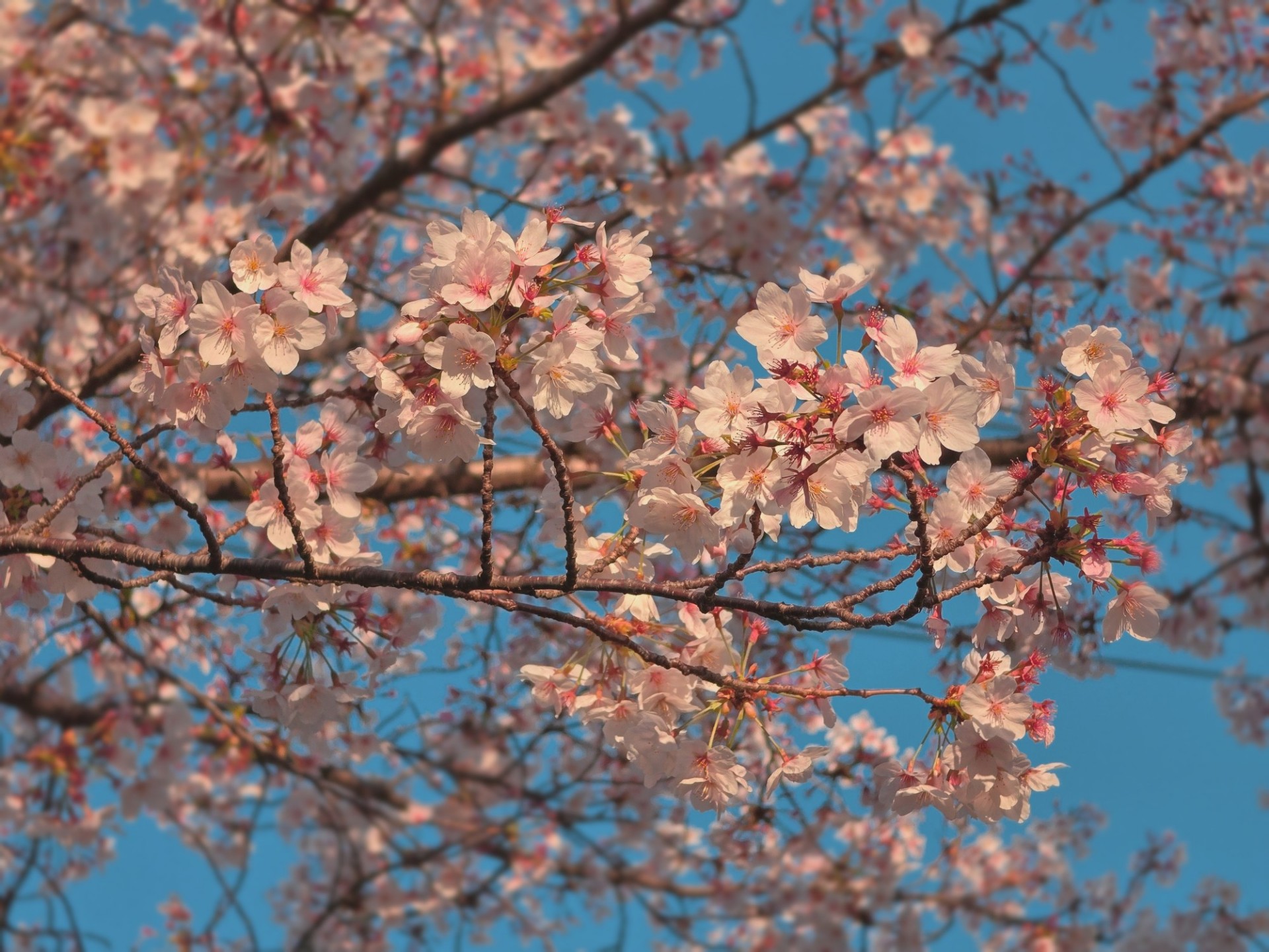 소소온, 못 잔다...