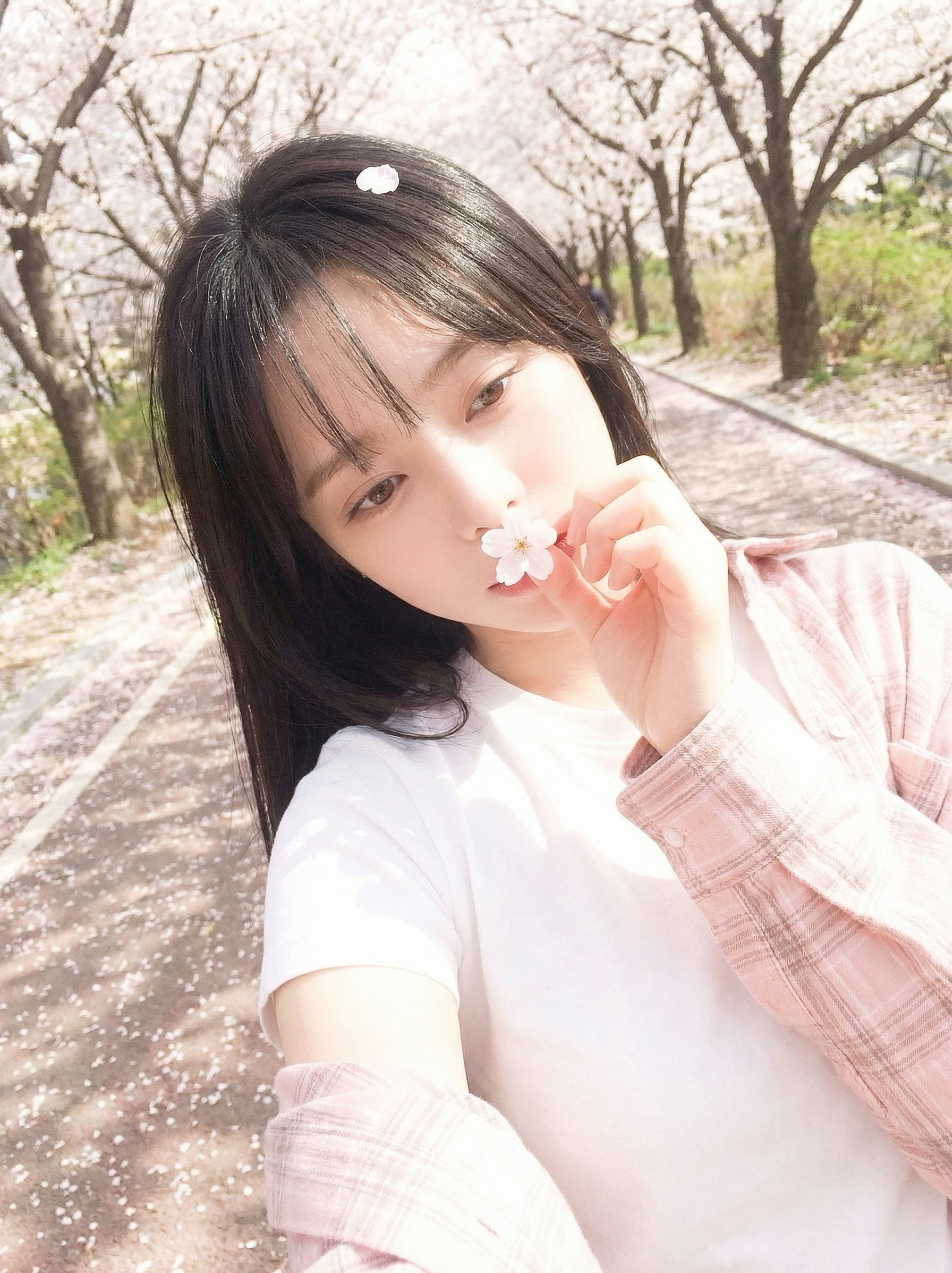 보고싶었다요 🌸