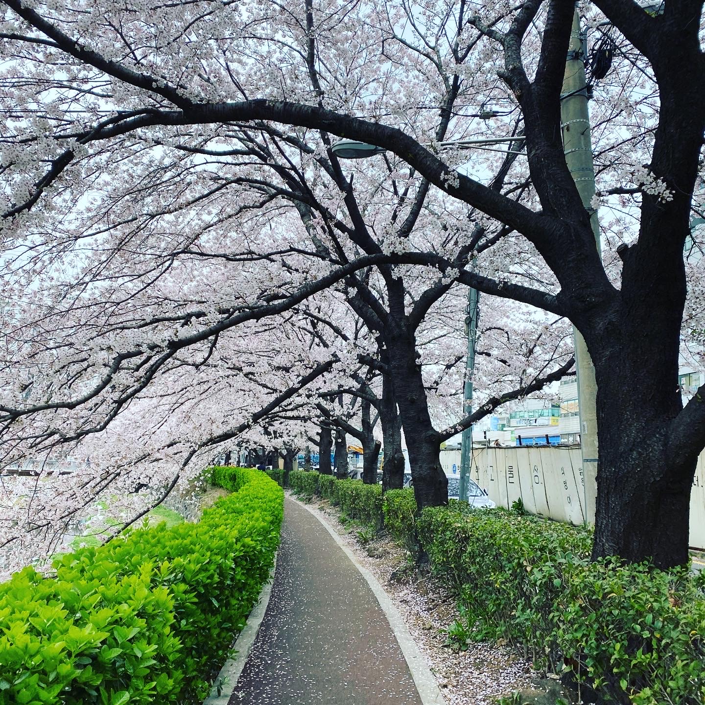 30+ 잠깐만 켜본 방송