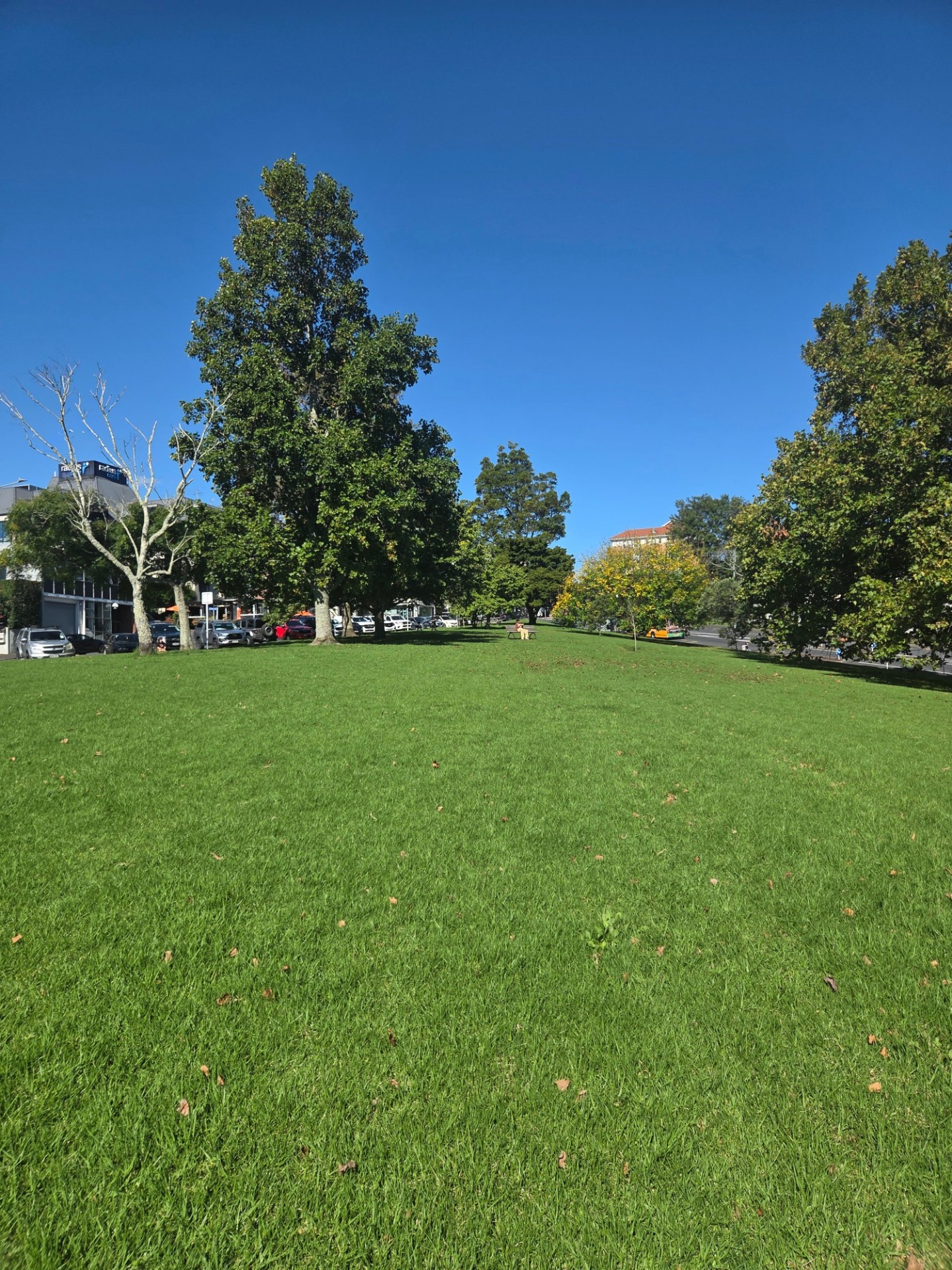 ASMR) 재택근무가 아니여도