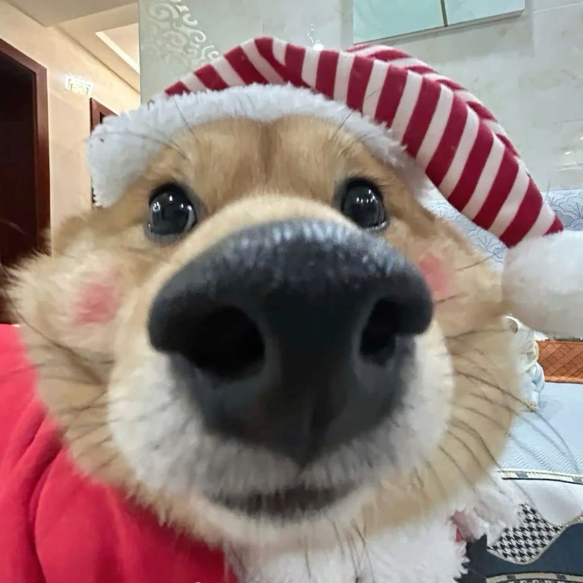 10~100살까지~💕들어와여