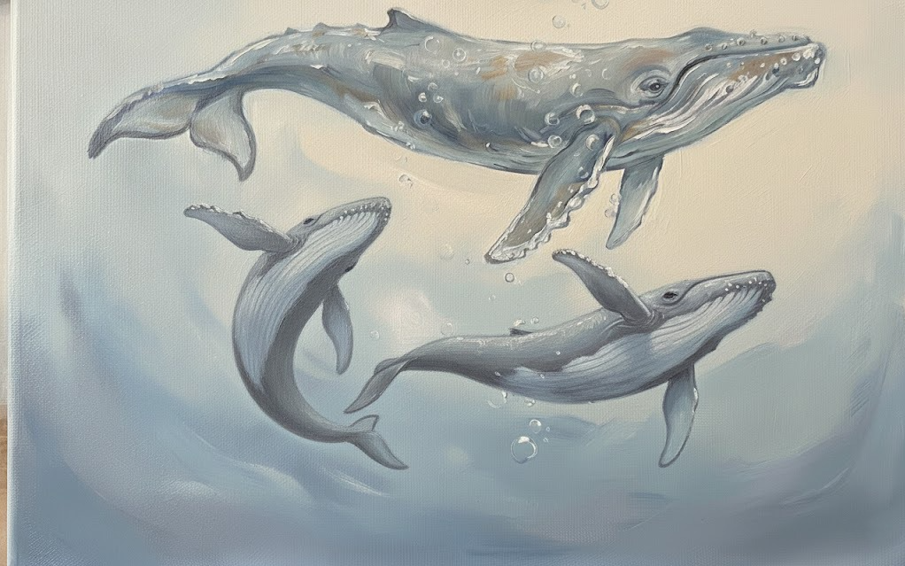 불구우우움!! 달려잇!!