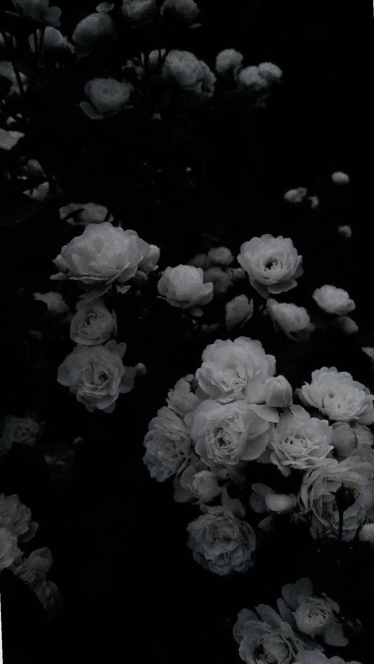 잡히기만 해봐 ㄱㅅㄲ