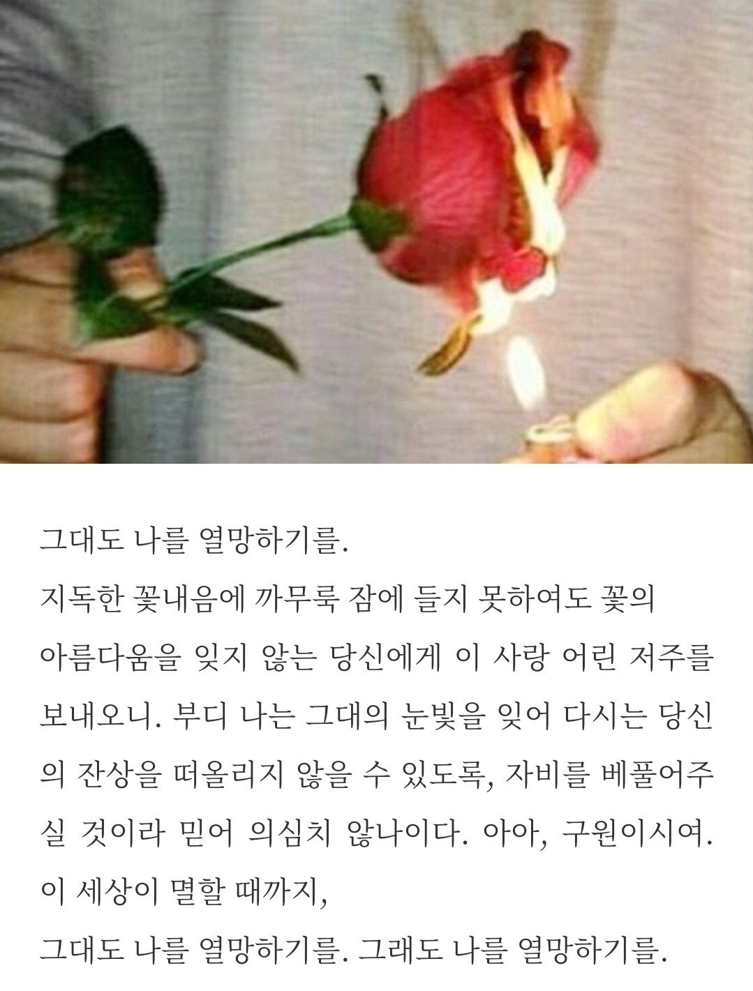 앞퉈 리딩&낭독 파앗희🍷