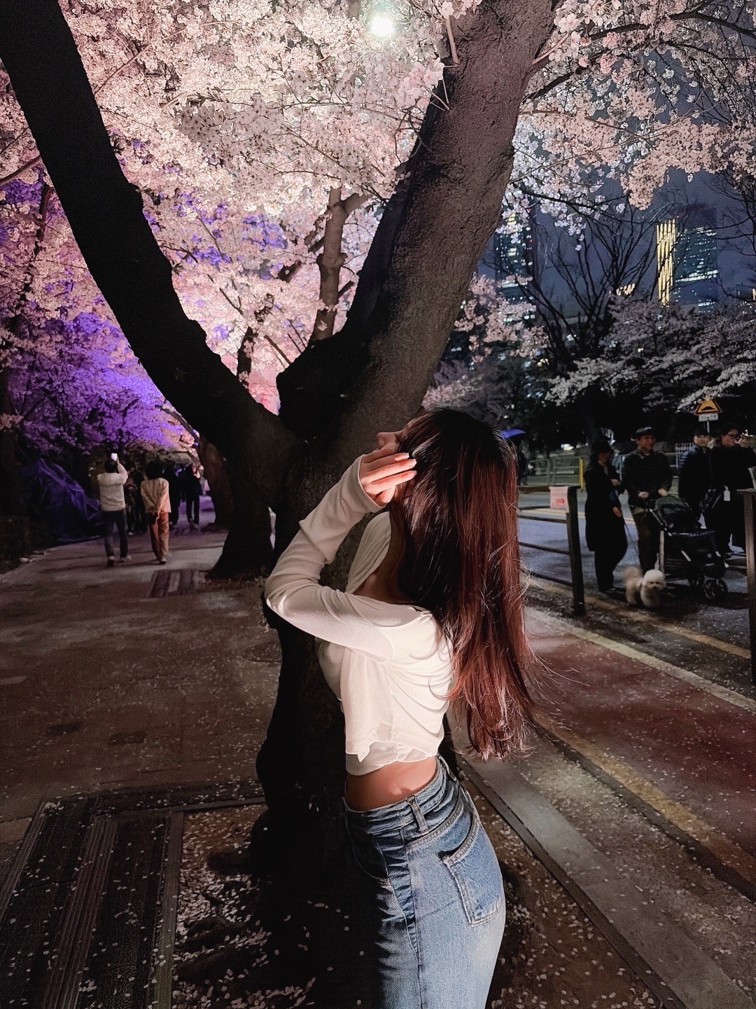 앨리스 400일이에요🎂❤️🌸