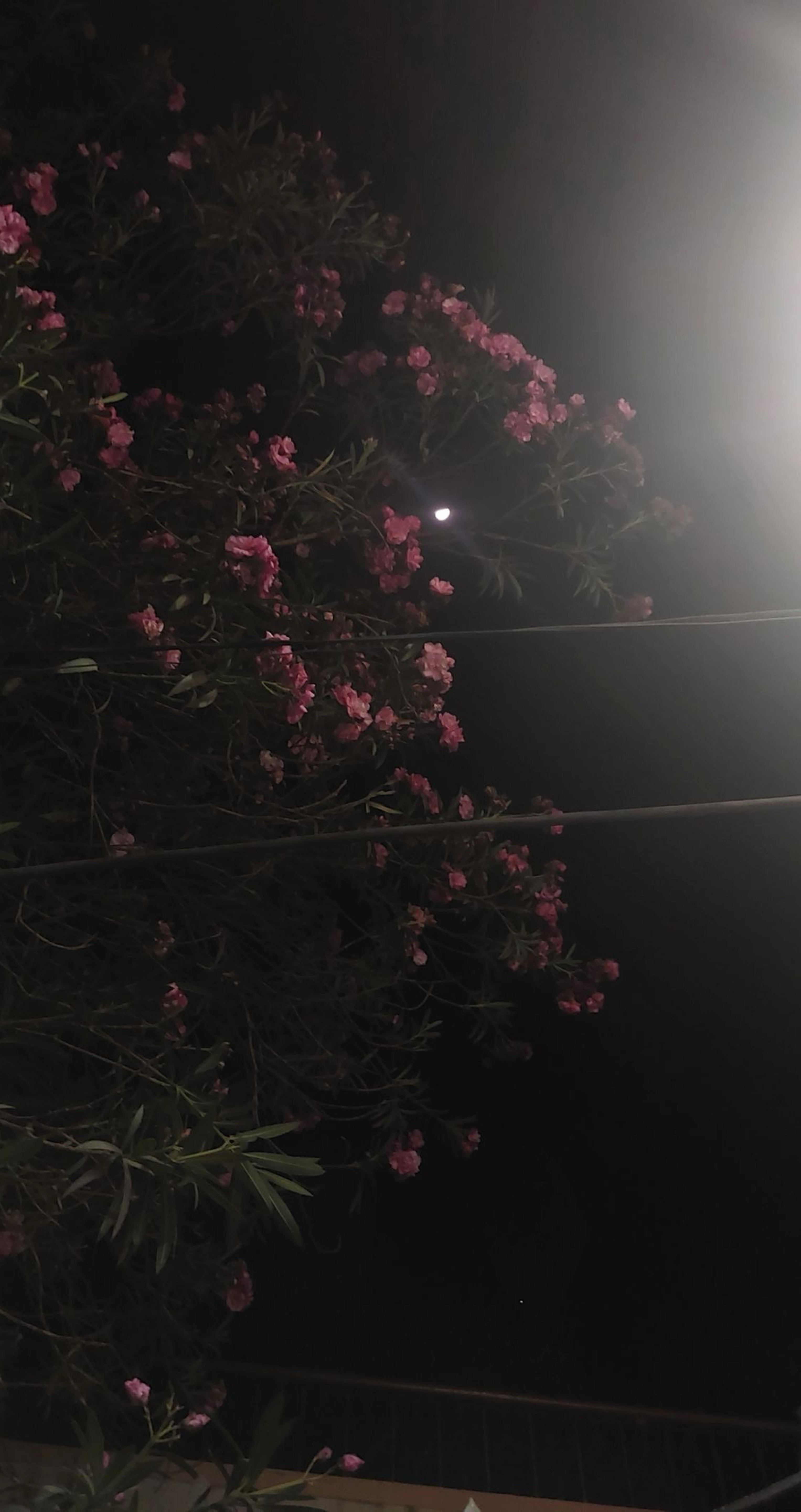 나른나른 ⠀ ⠀