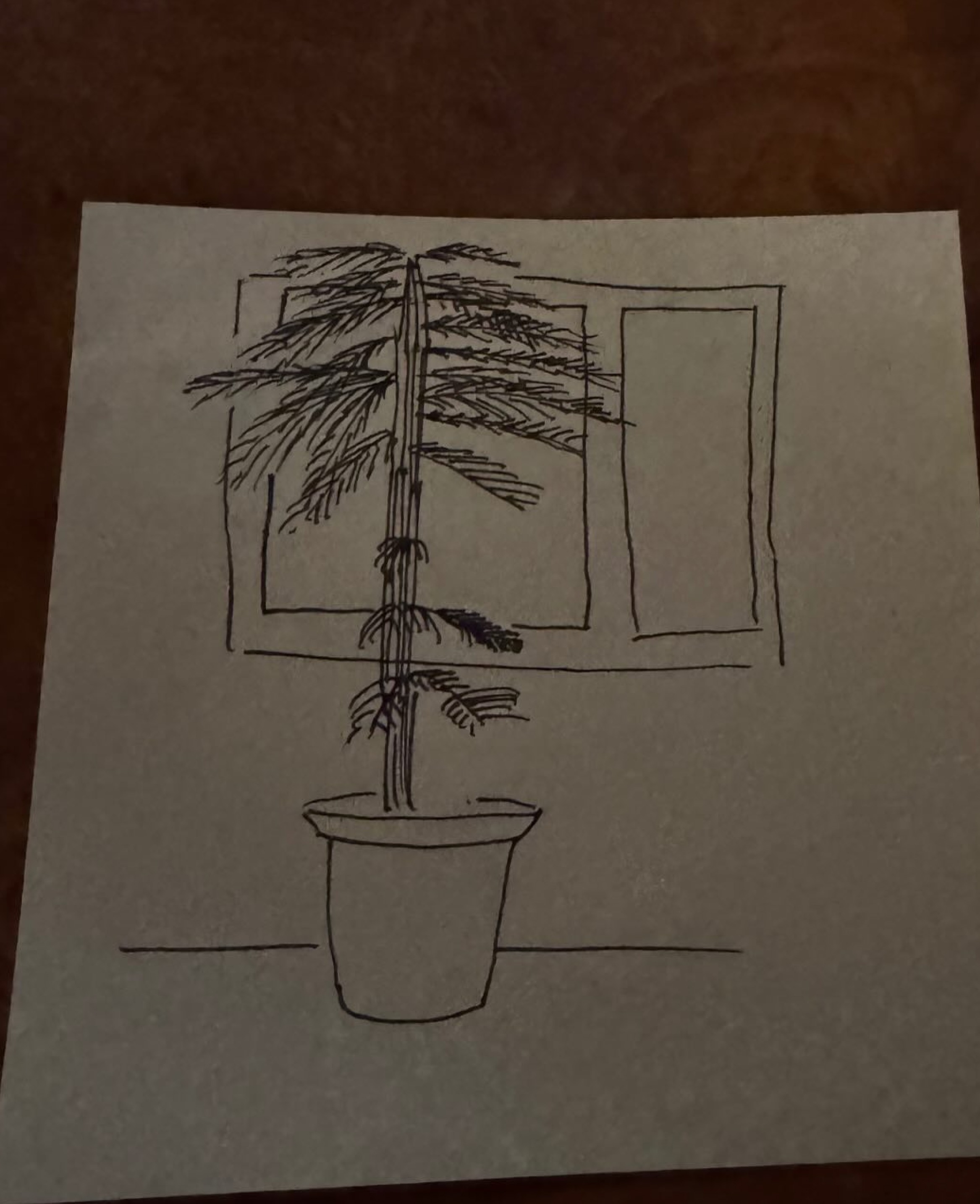 캔디깡 하고가쇼