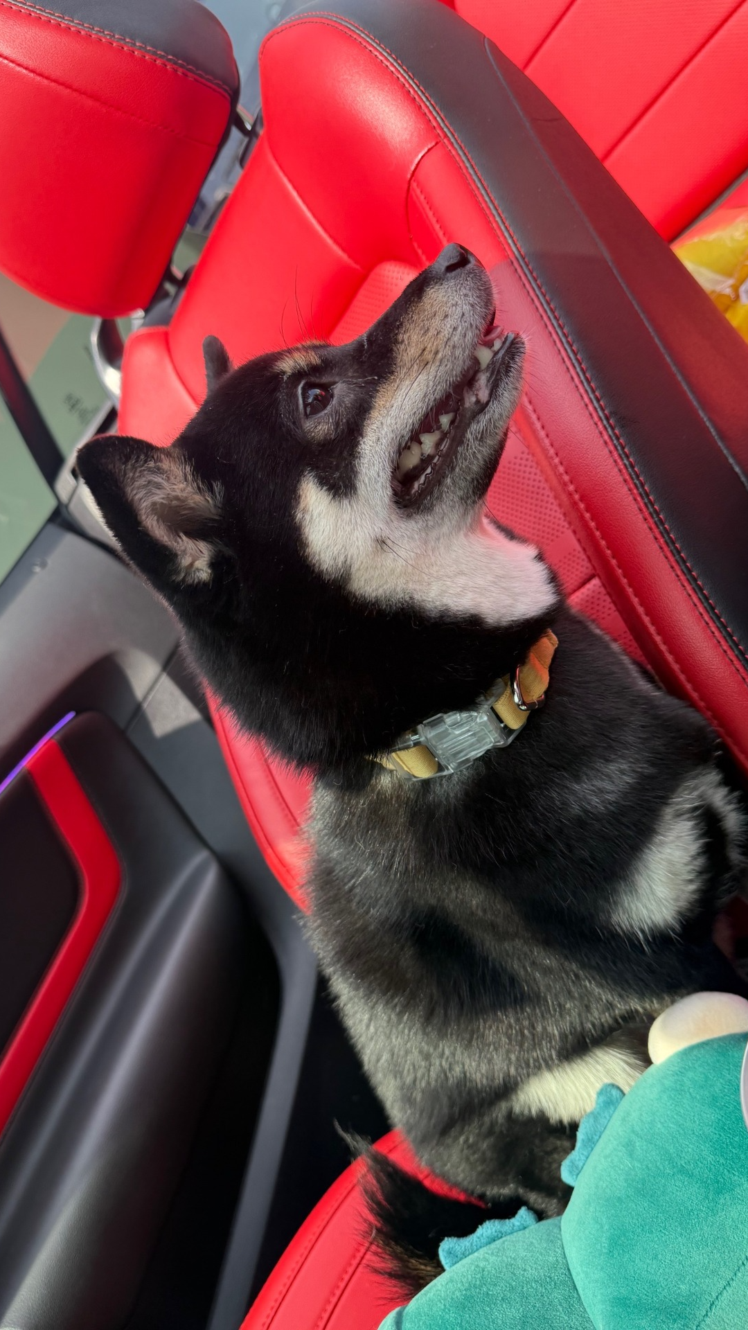 노 래 라 이 부 !