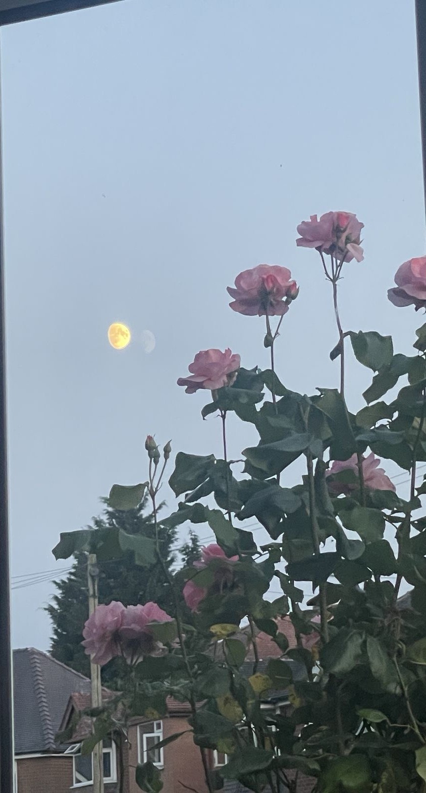 나른나른 ⠀ ⠀