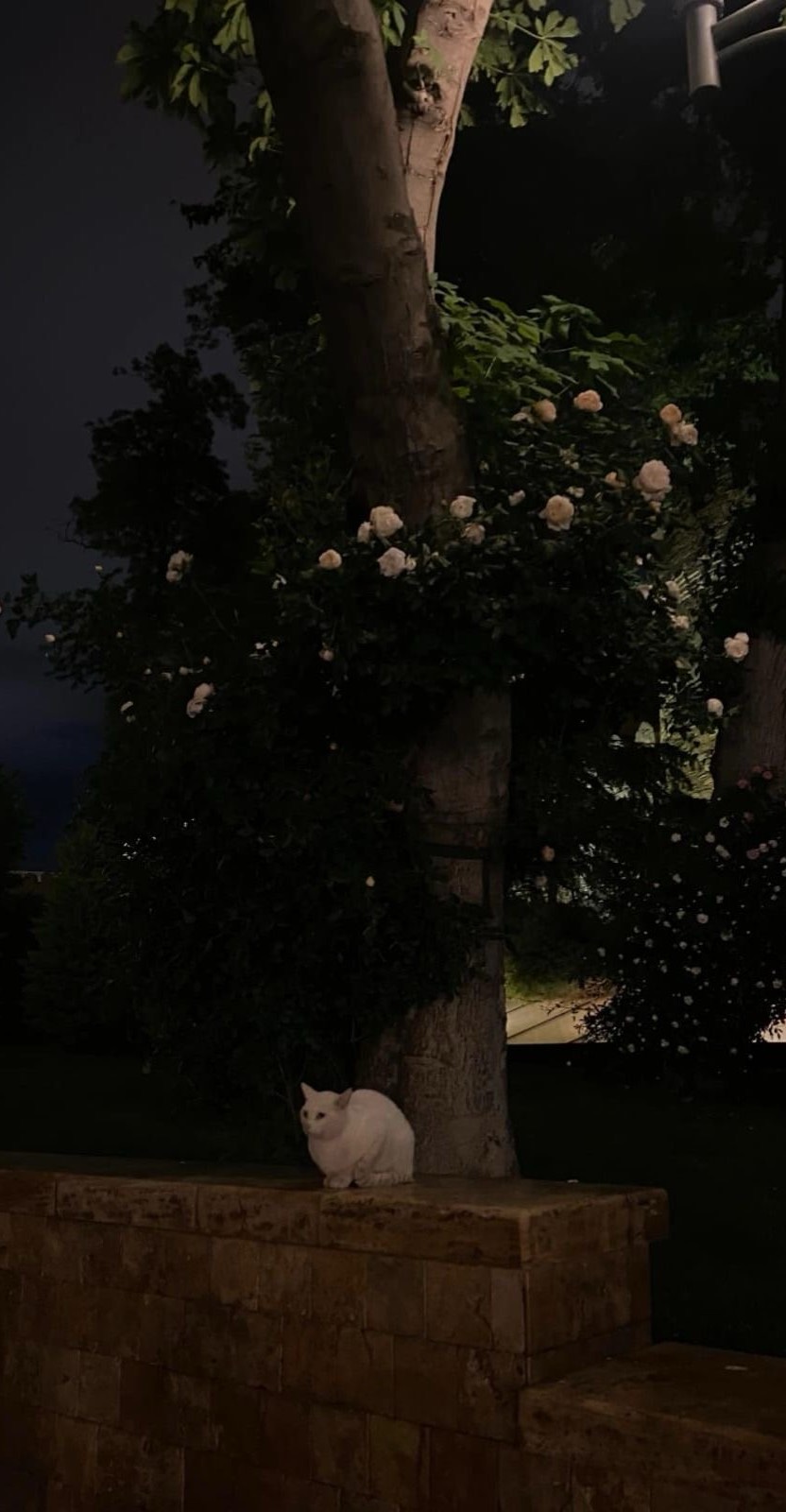 나른나른 ⠀ ⠀