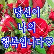 집 나간 “존잘남” 찾습니다 ♡ 