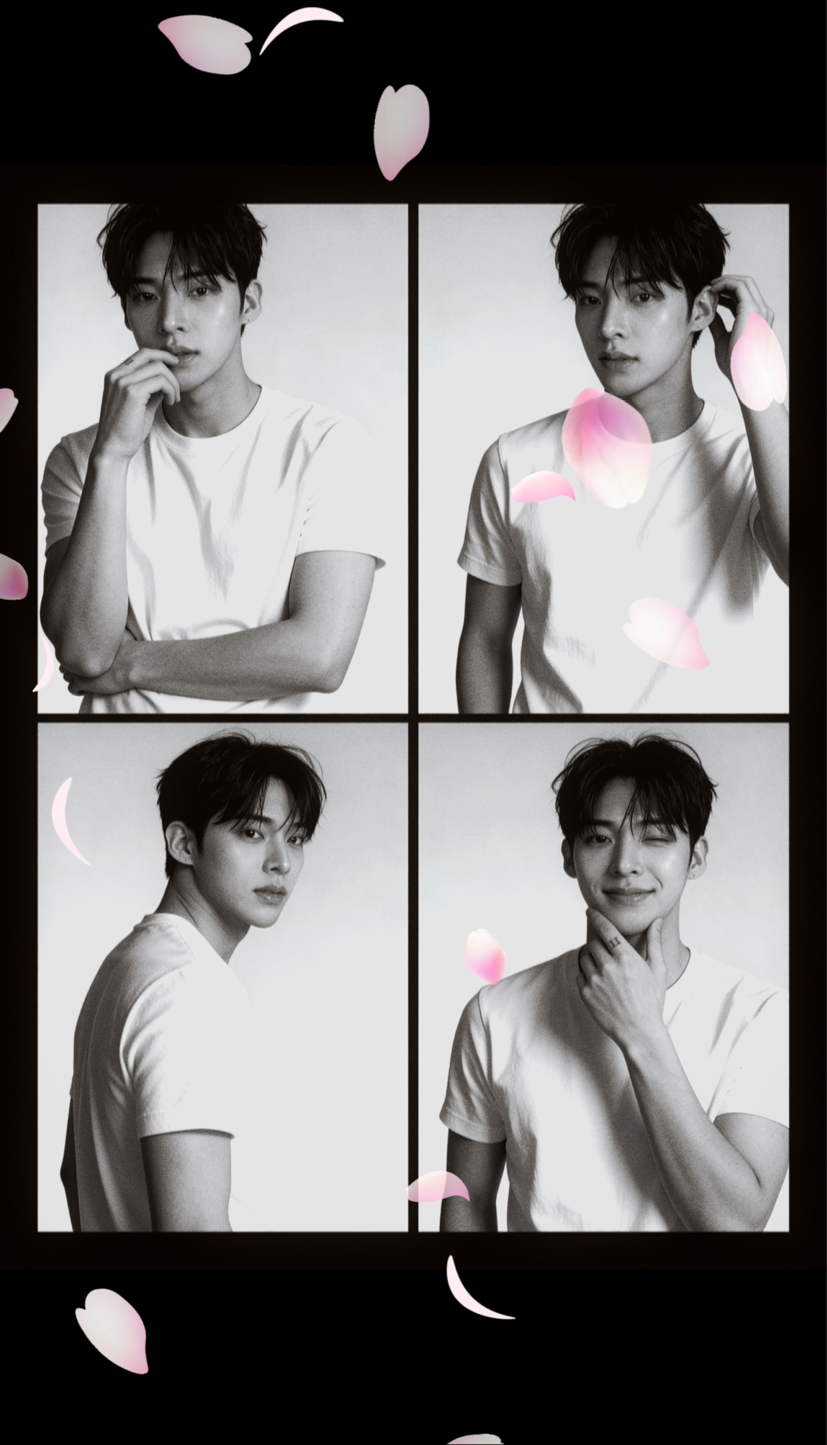 너처럼 예쁜사람 못봄 