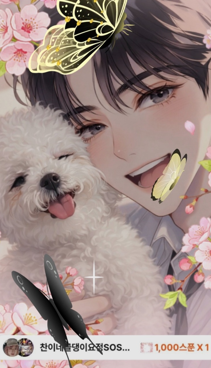 가장 아름다운 우연