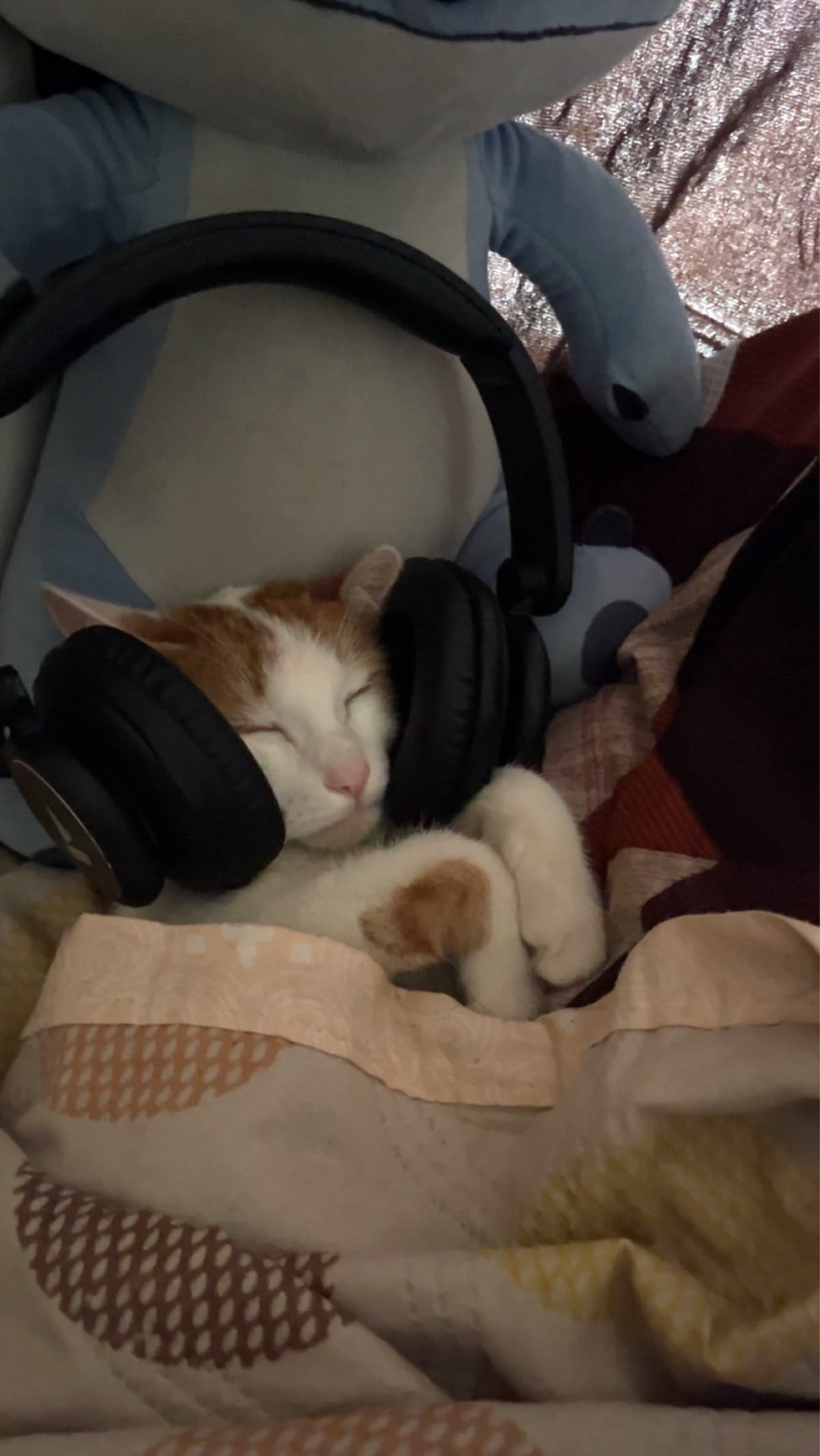 1살부터100살까지💕 아무나와요~