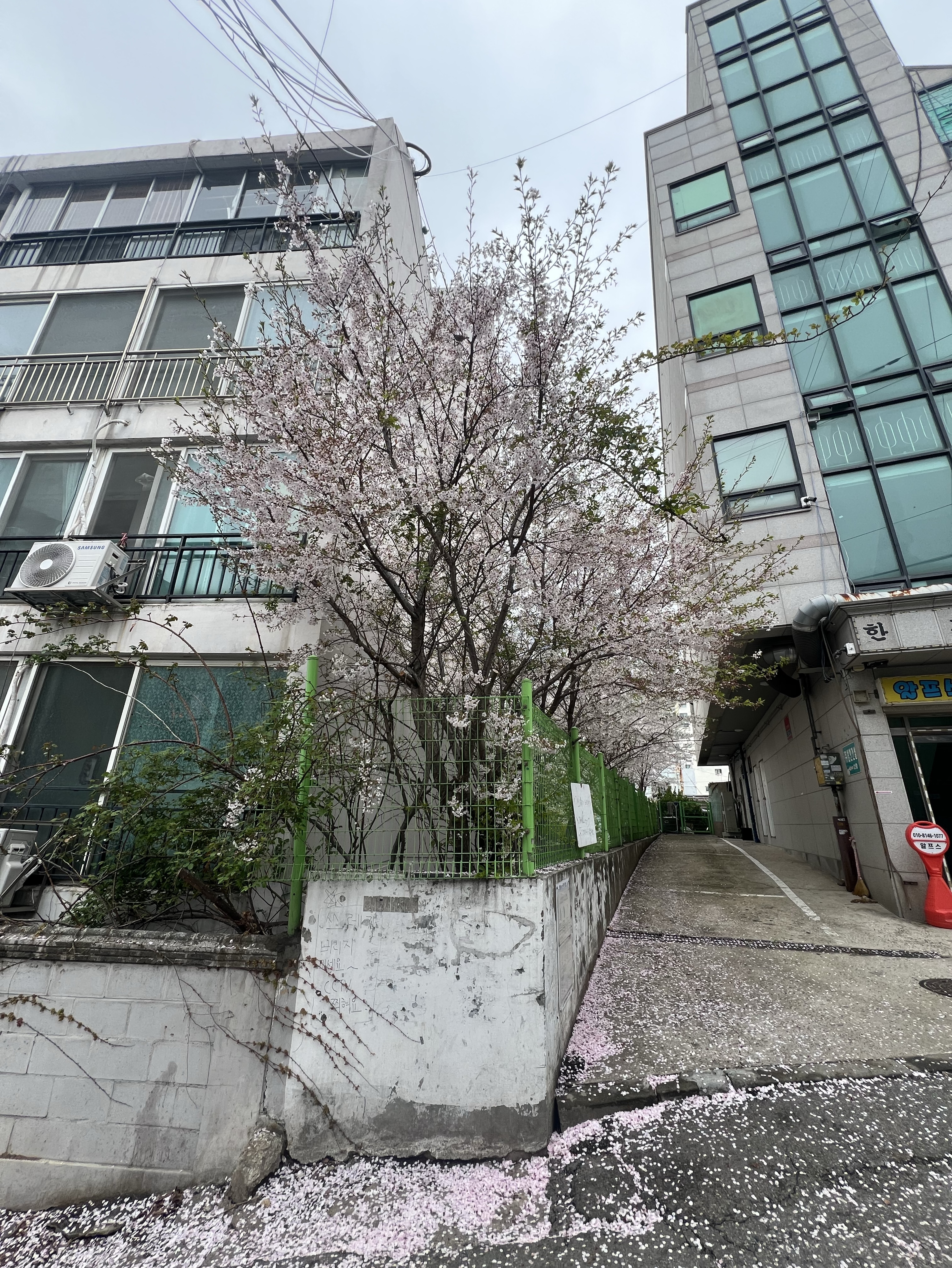 오랜만에킨방송 복귀방송1일차❤️❤️💕