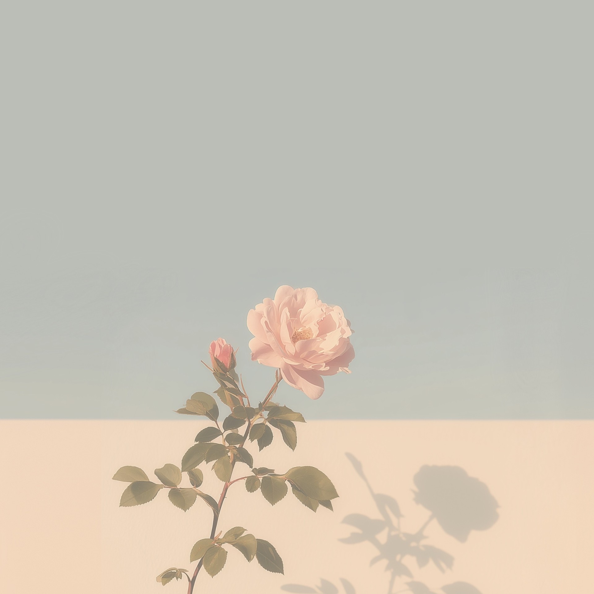 야ㅑㅑㅑㅑ야양야