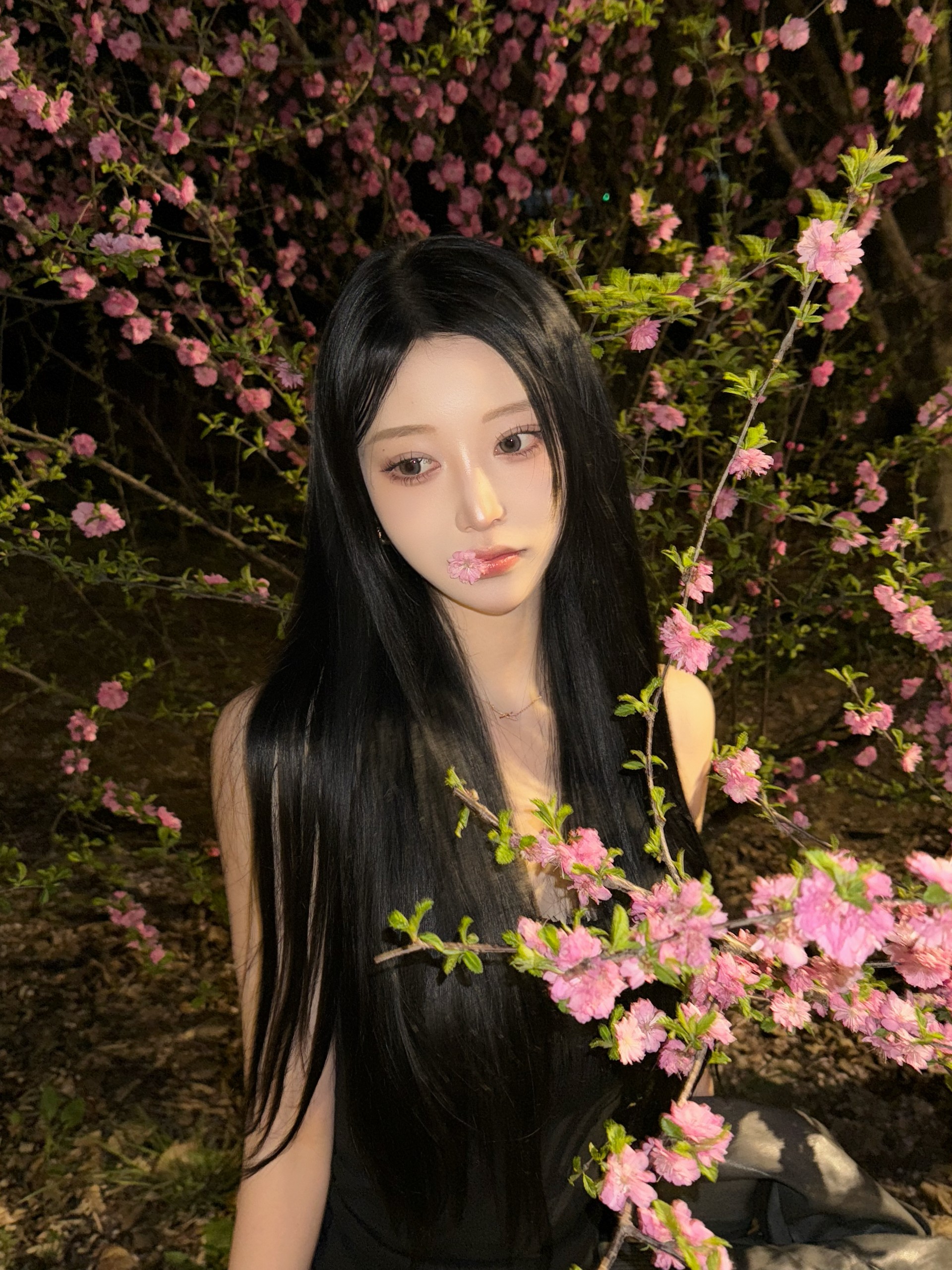 고양이 보러 올래 ?