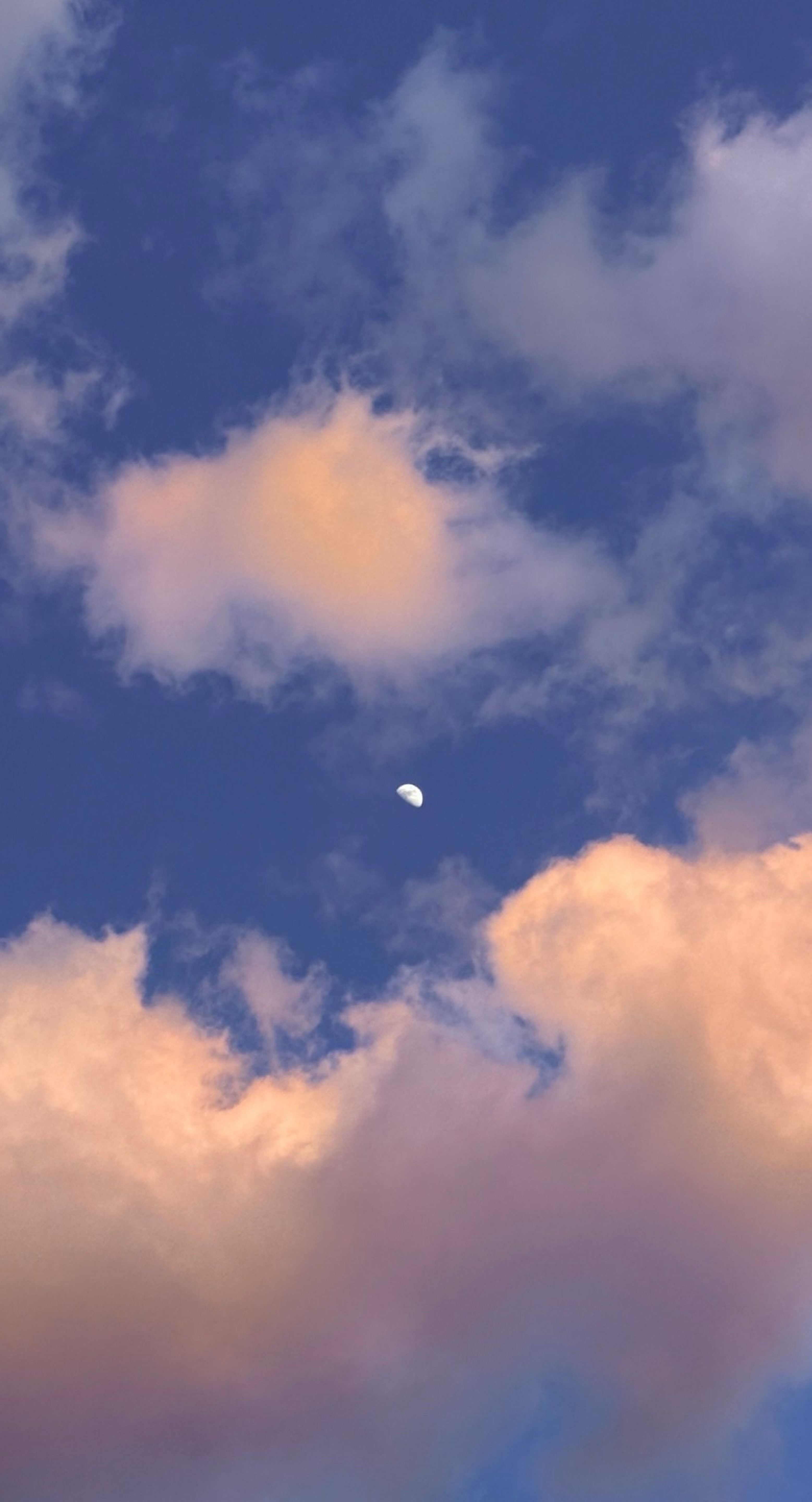 이젠 한시 오분 멈춰있는 ⠀