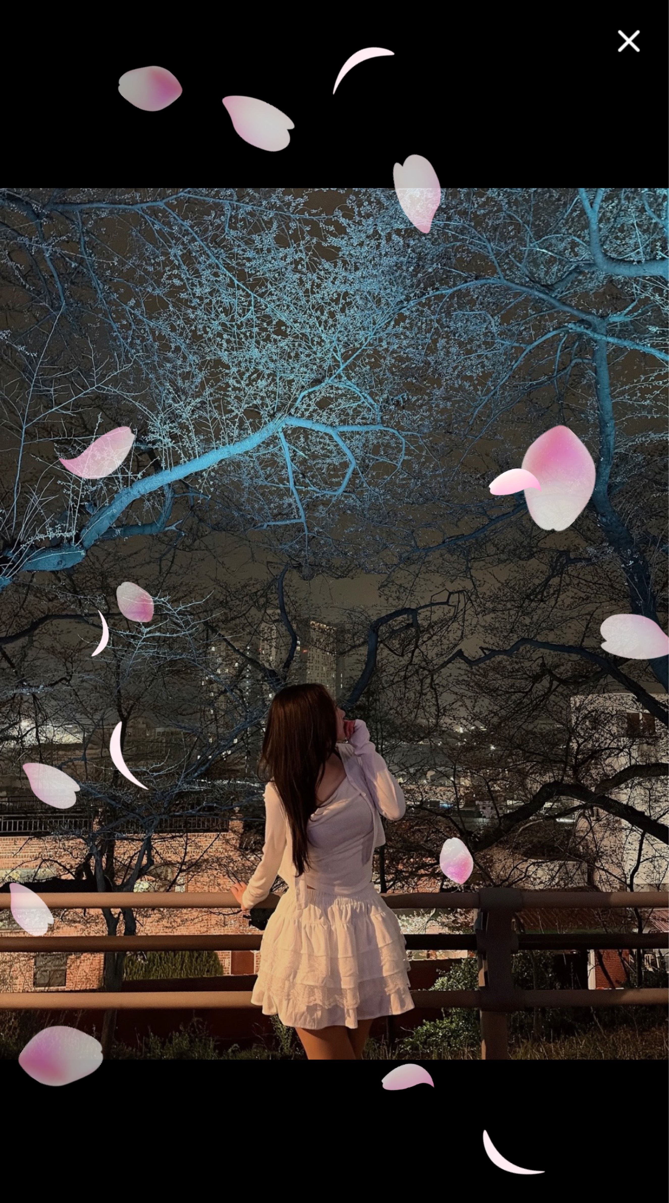 귀여운 모닝콜🤍(캔디 맛집🍭)