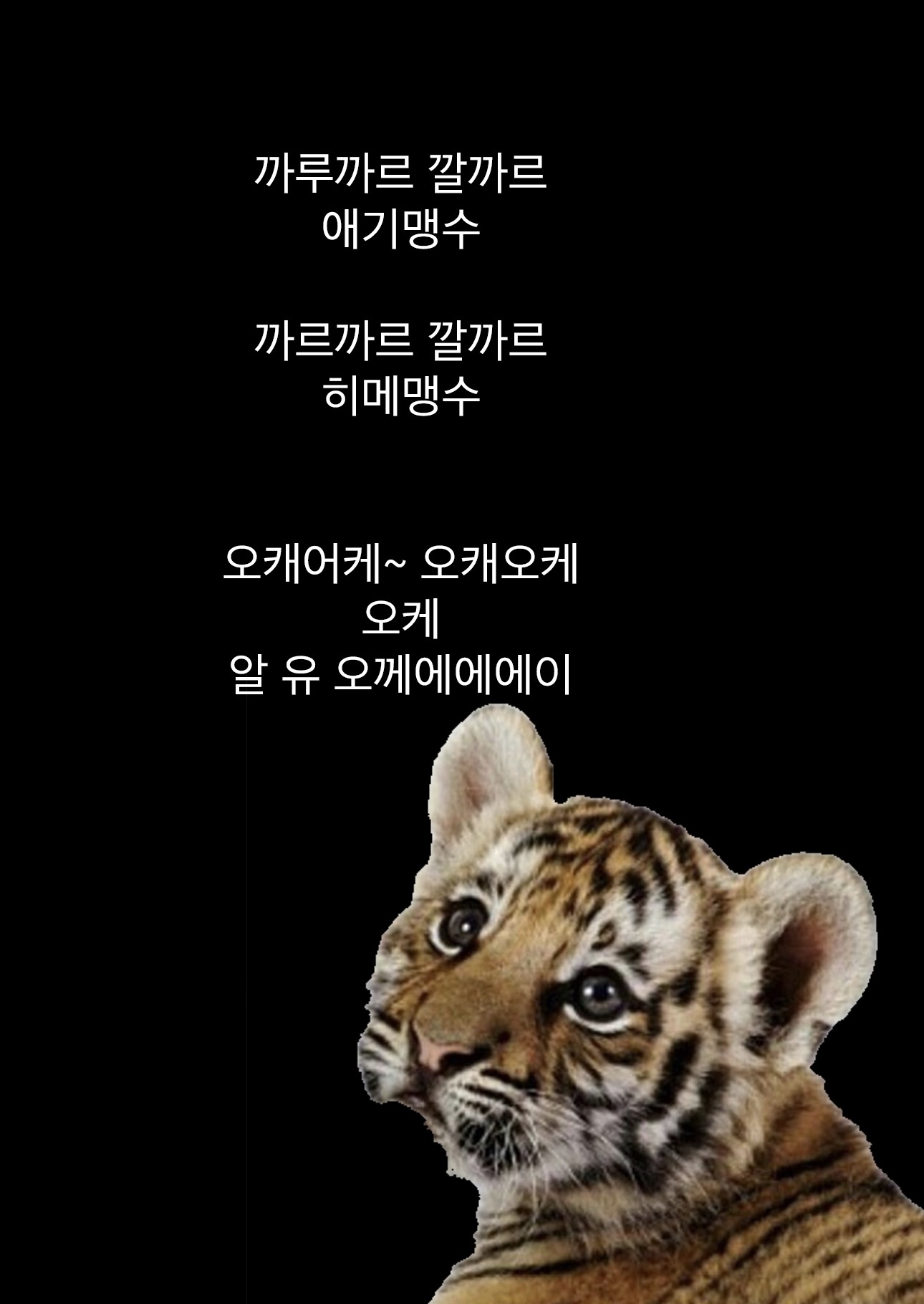 각종음원사이트: floryy 검색