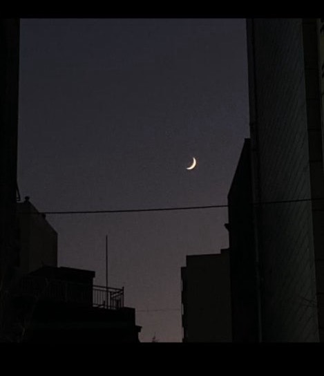 1살부터100살까지💕 아무나와요~